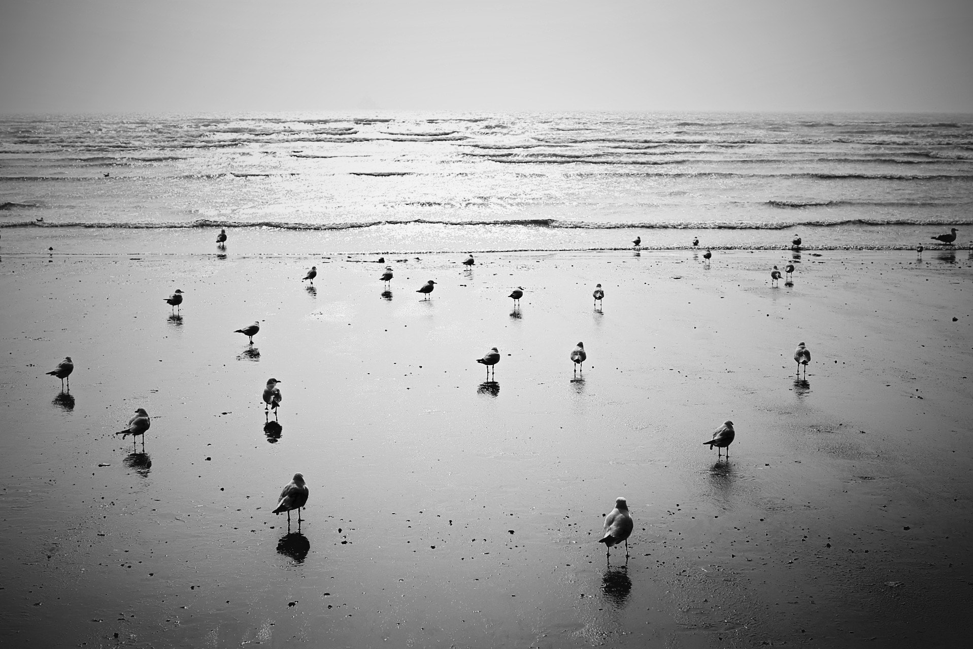 Canon EF 50mm F1.2L USM sample photo. Winter sandbeach of qingdao photography
