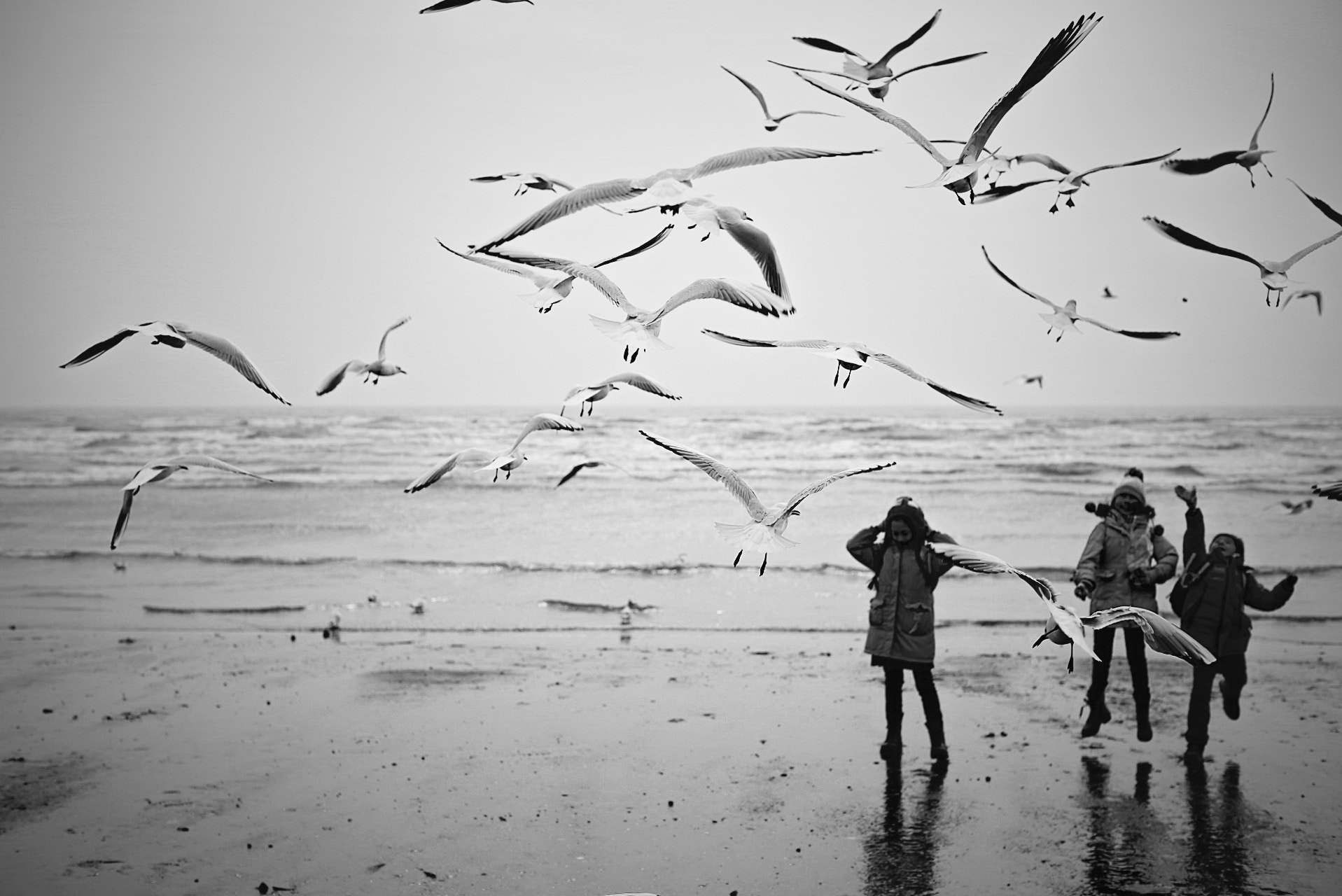 Canon EOS 6D sample photo. Kids and seagulls photography