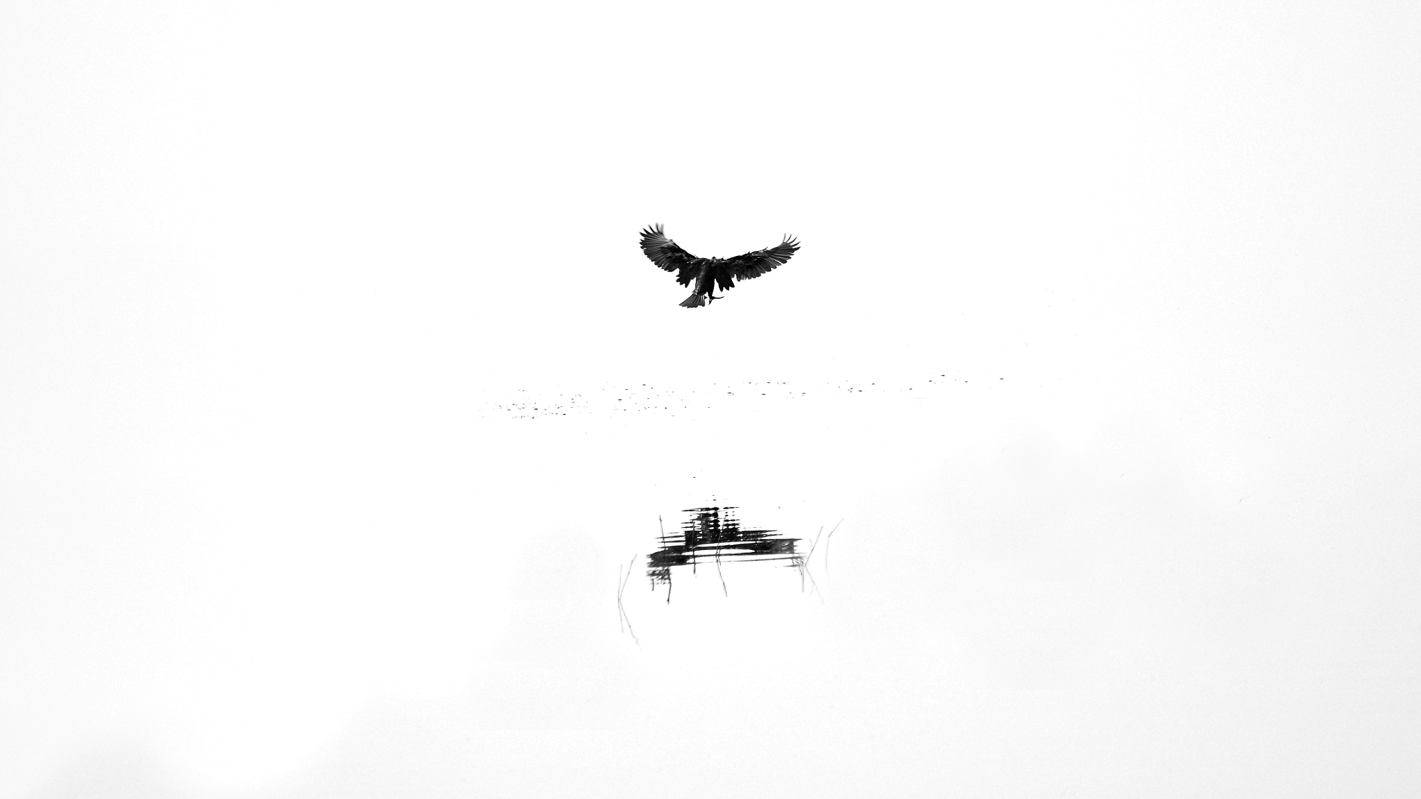 Nikon AF-S Nikkor 200-500mm F5.6E ED VR sample photo. The shadow of black and white photography