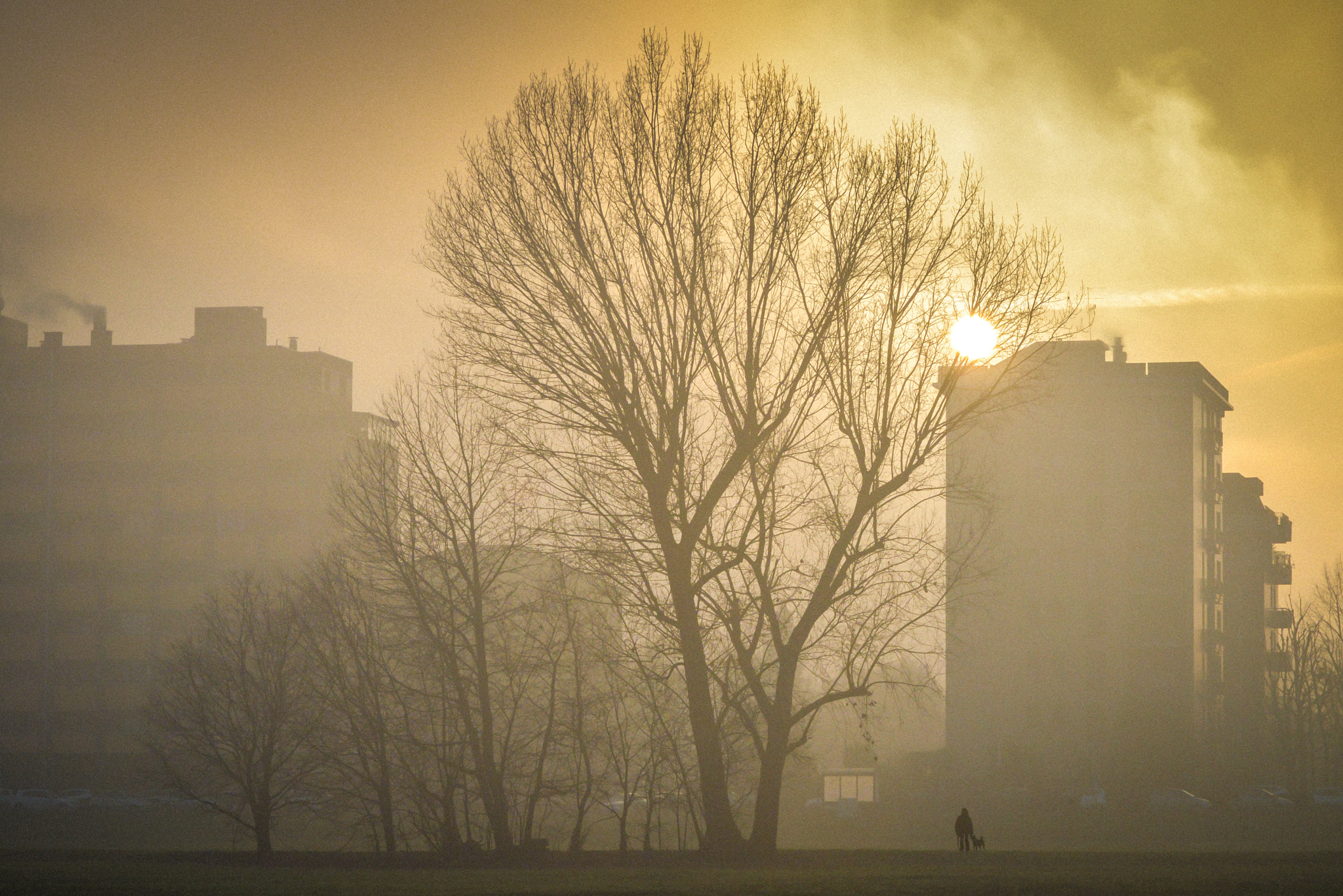 Nikon D600 sample photo. Foggy winter photography