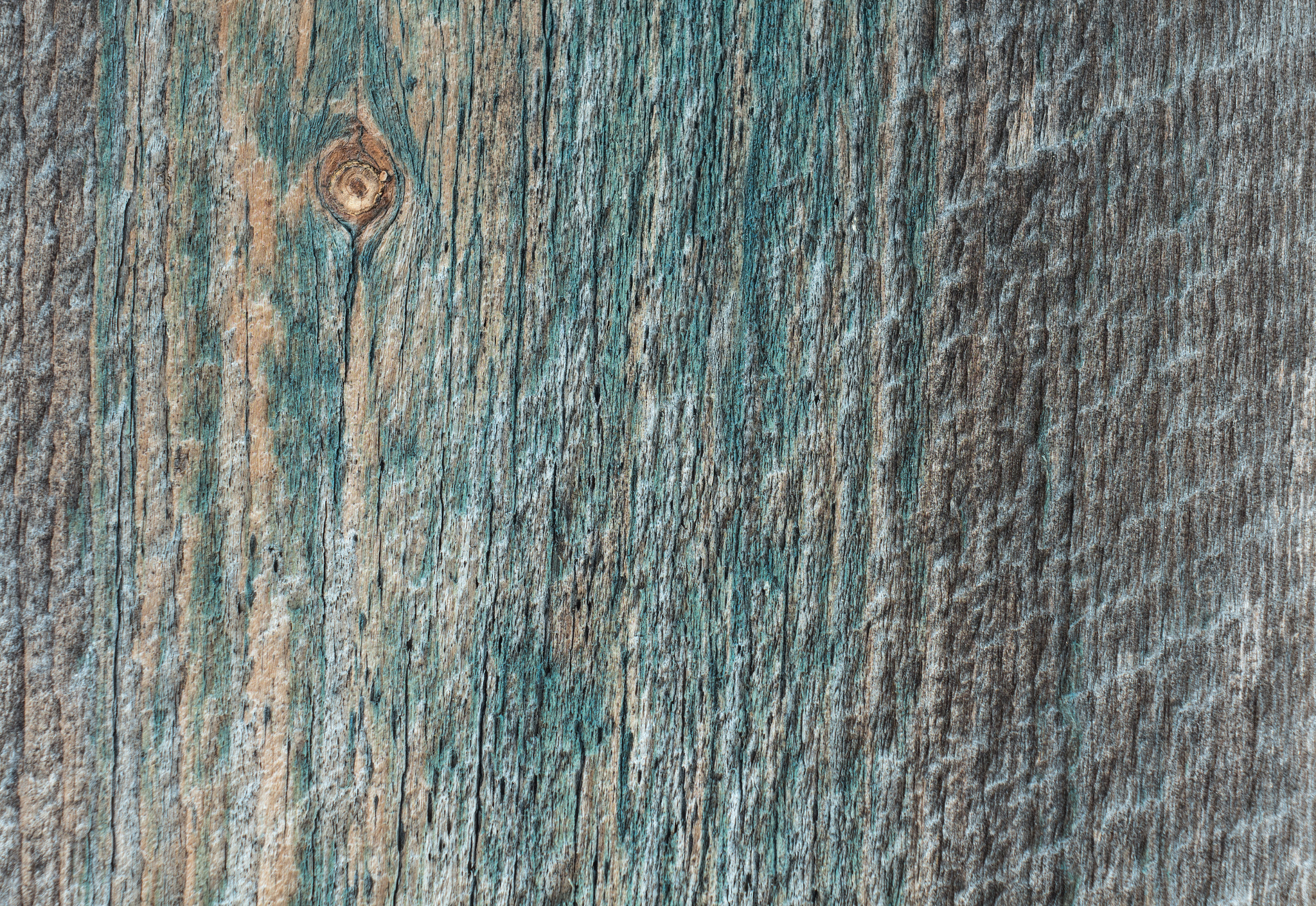Canon EF 35-80mm f/4-5.6 sample photo. Texture photography