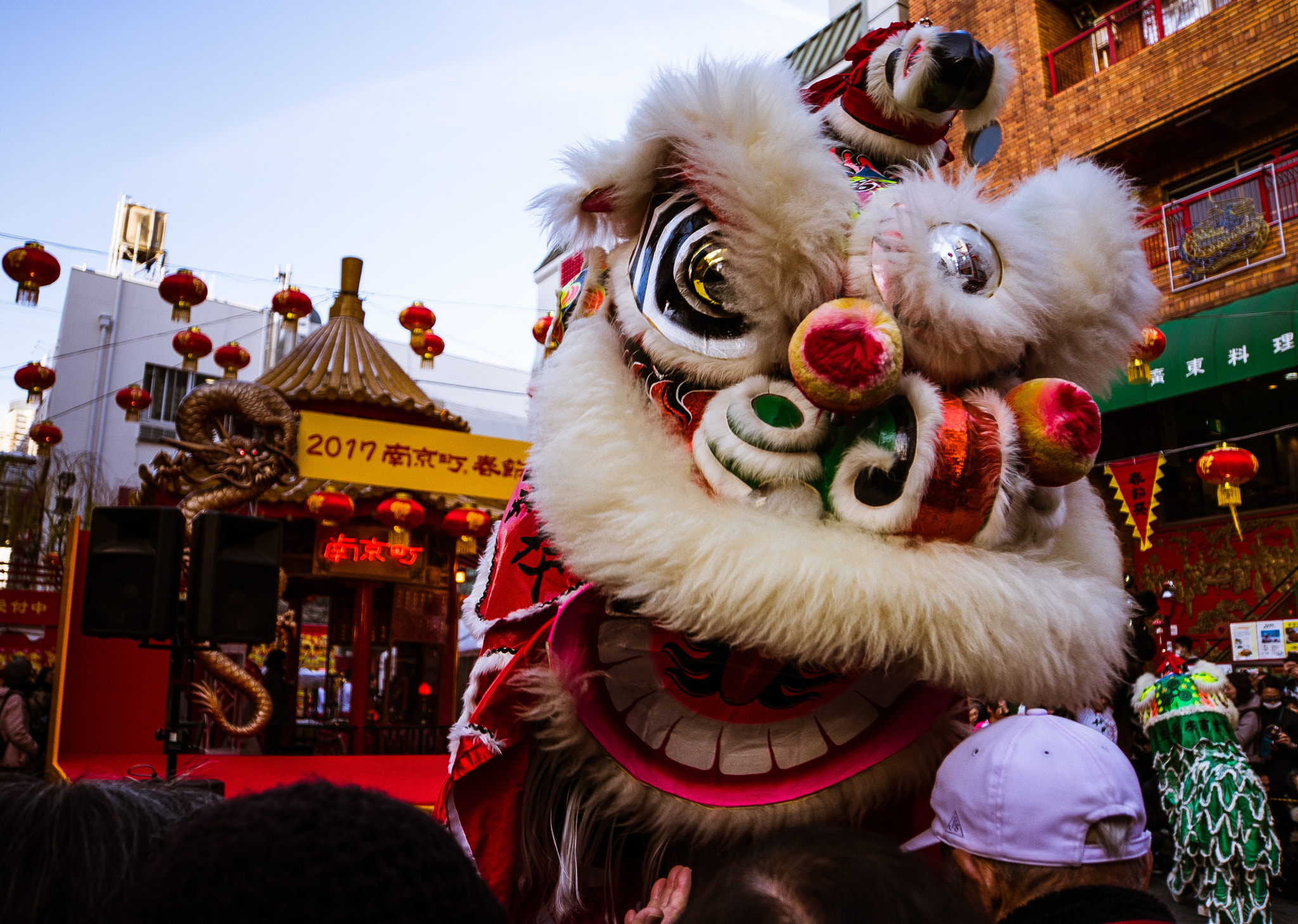 Sony E 18-200mm F3.5-6.3 OSS sample photo. Lunar lion photography