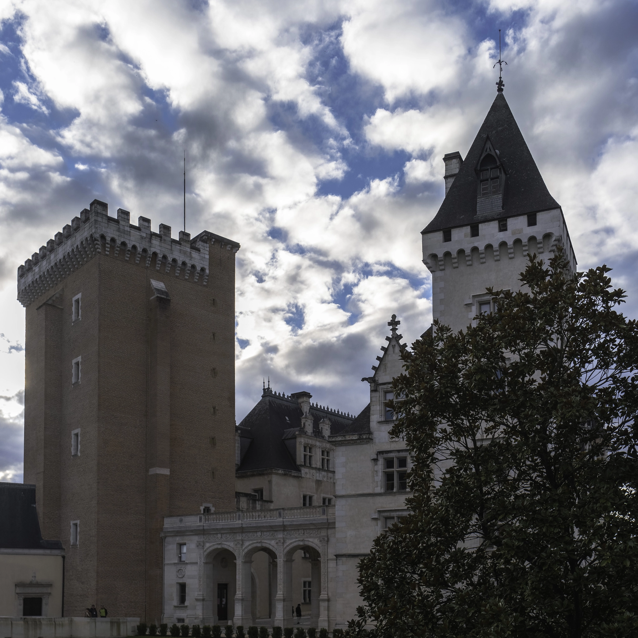 Samsung NX500 sample photo. Vue boisée du chateau de pau photography