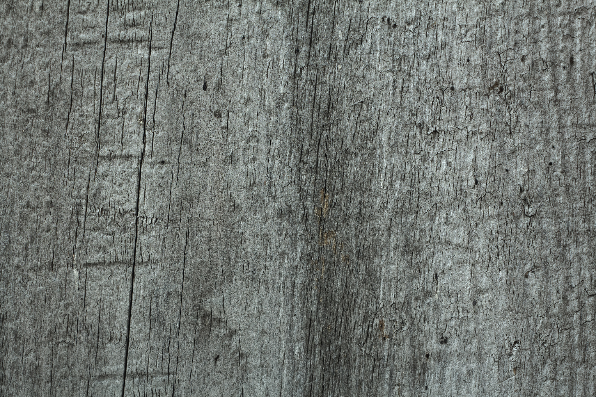 Canon EF 35-80mm f/4-5.6 sample photo. Texture photography