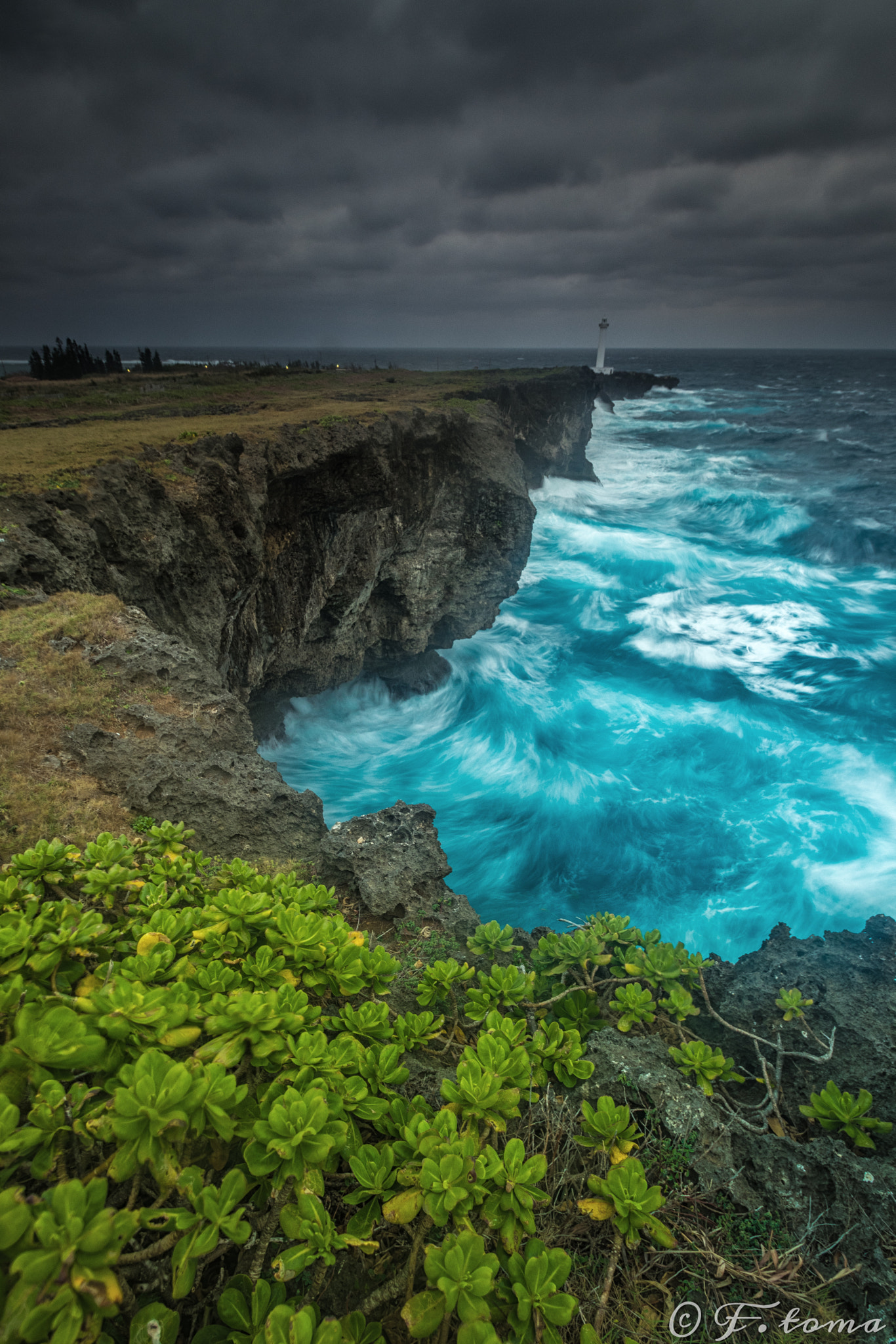 Sigma 10-20mm F3.5 EX DC HSM sample photo. Power of expulsion photography
