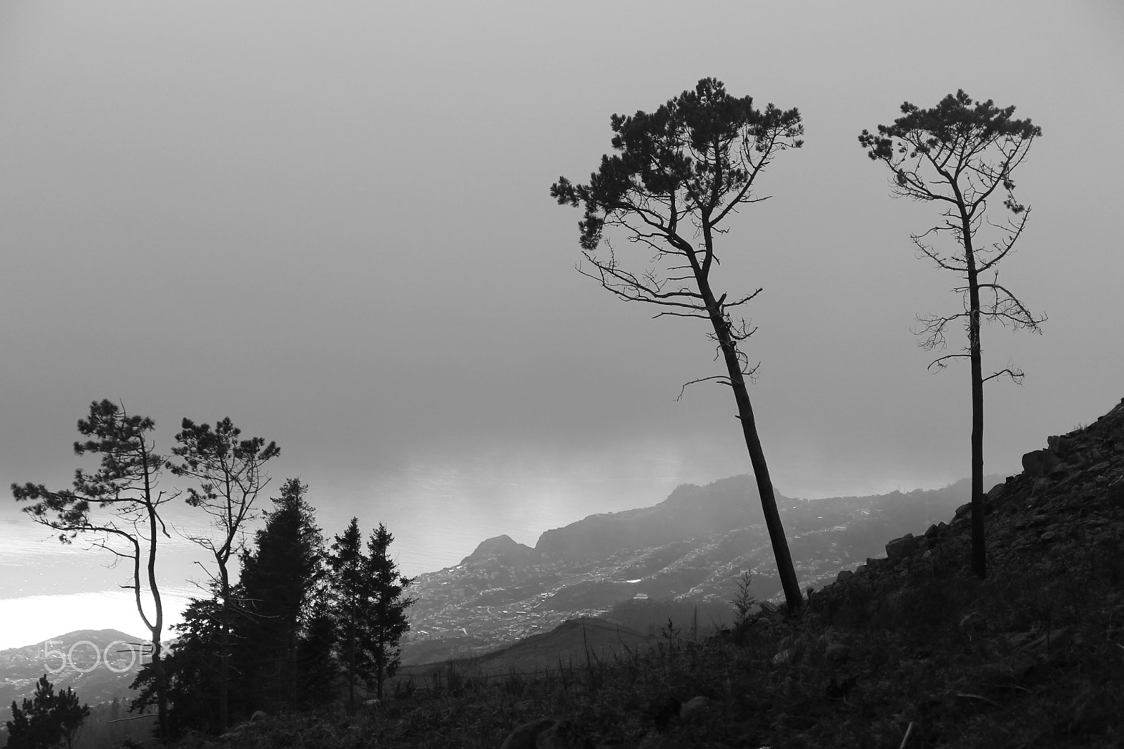 Canon EF-S 17-55mm F2.8 IS USM sample photo. Madeira island - portugal photography