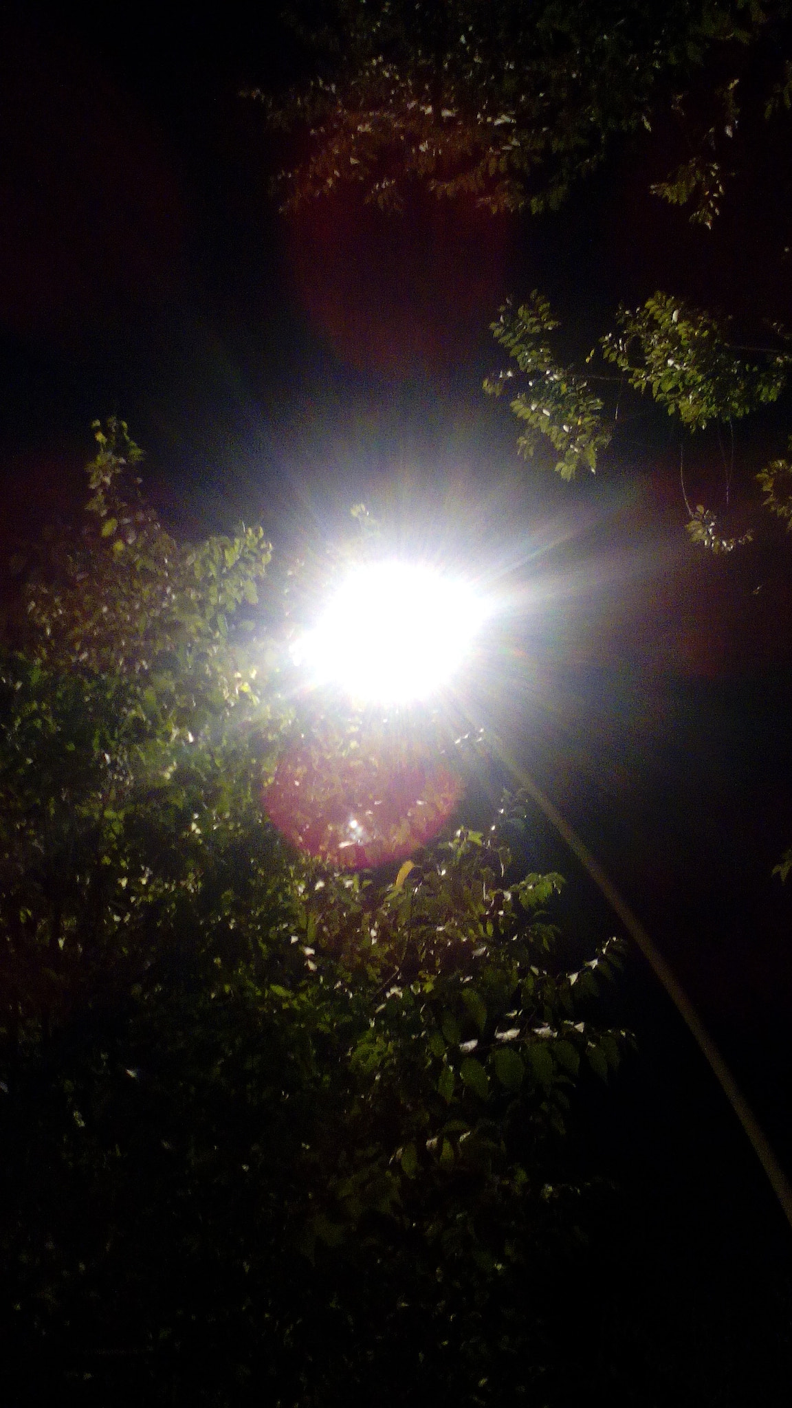 TCT ALCATEL ONE TOUCH 7041X sample photo. A flower made of light photography