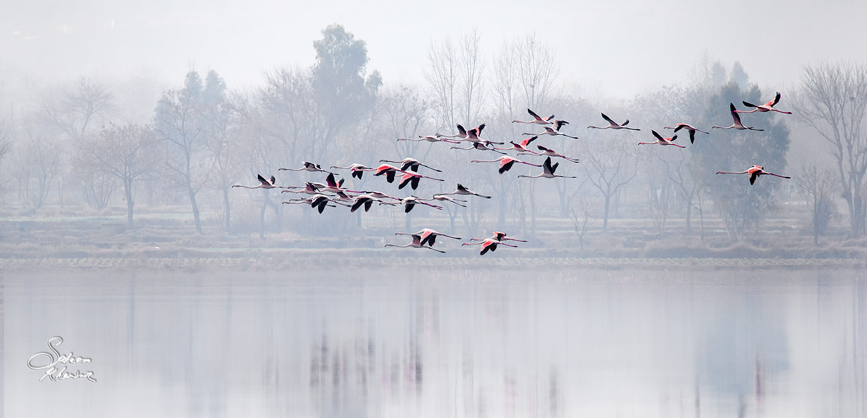 Sigma 150-600mm F5-6.3 DG OS HSM | C sample photo. Dawn at soan velly photography