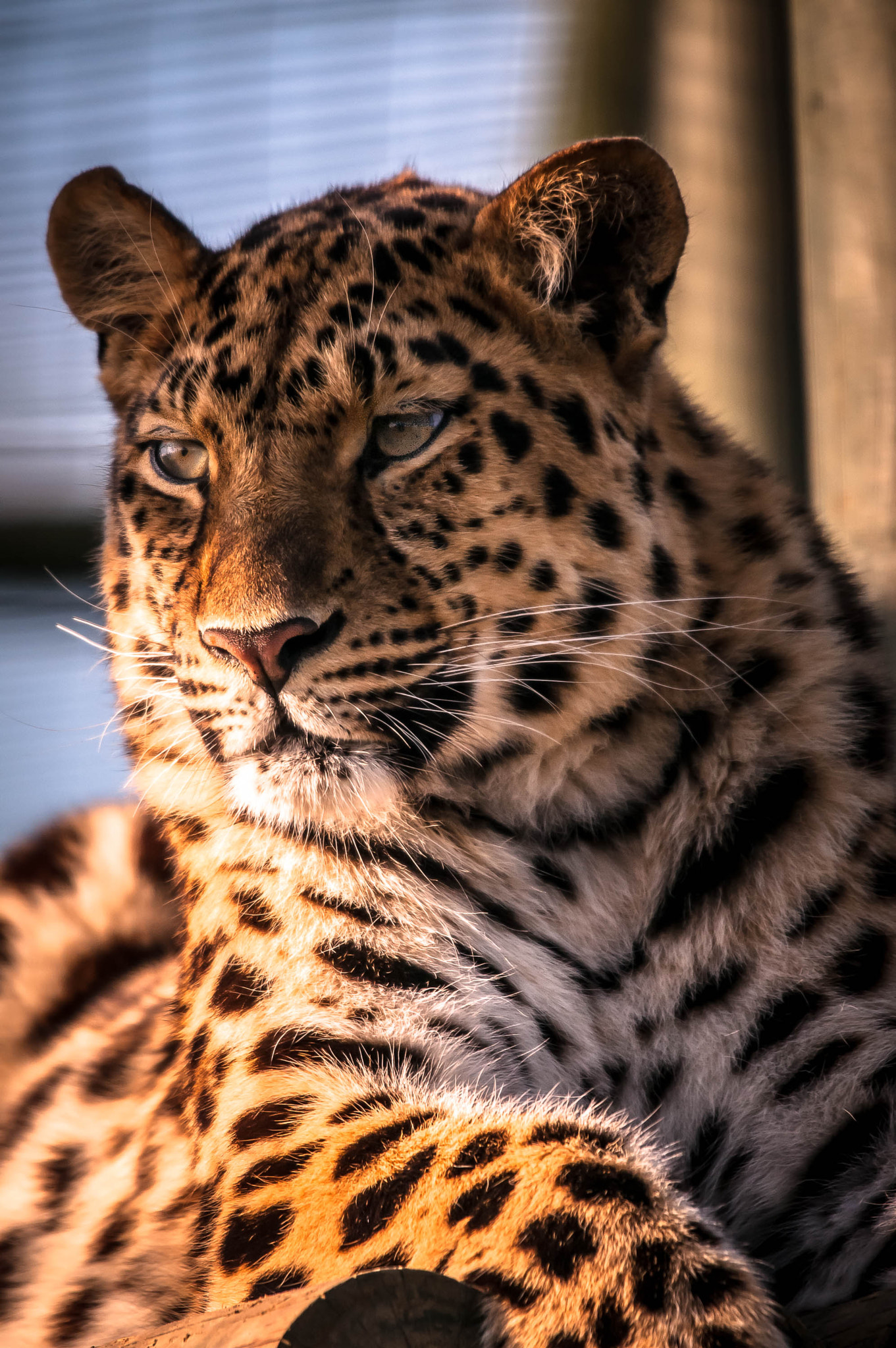 Sigma 120-400mm F4.5-5.6 DG OS HSM sample photo. Shady spot photography
