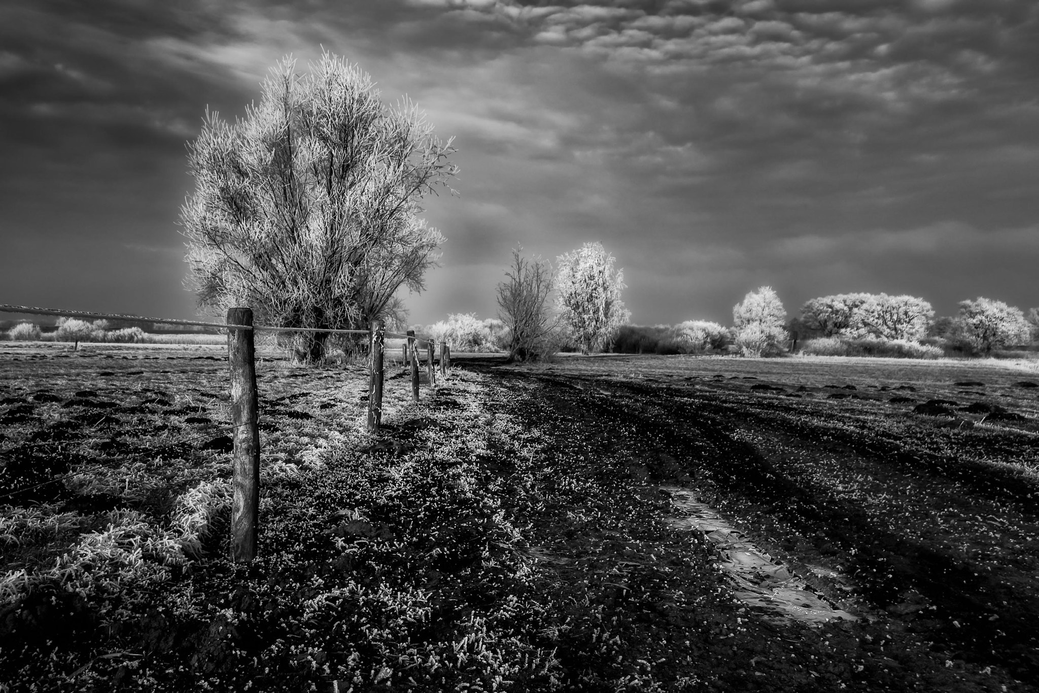 Sigma 17-50mm F2.8 EX DC OS HSM sample photo. Dirt road b&w photography