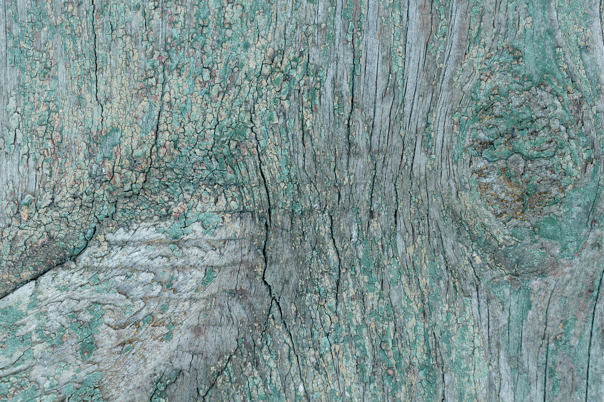 Canon EF 35-80mm f/4-5.6 sample photo. Texture photography