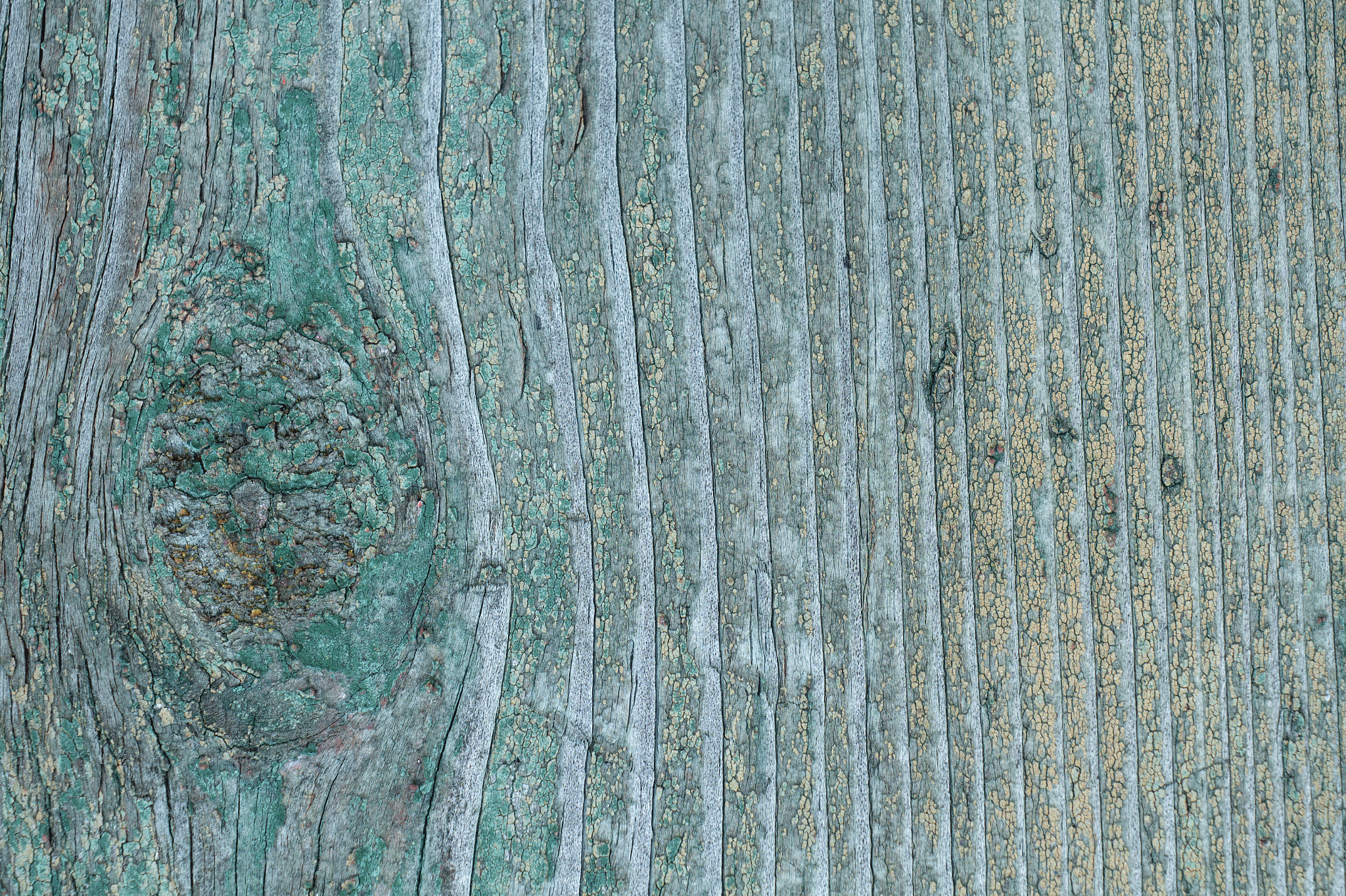 Canon EF 35-80mm f/4-5.6 sample photo. Texture photography
