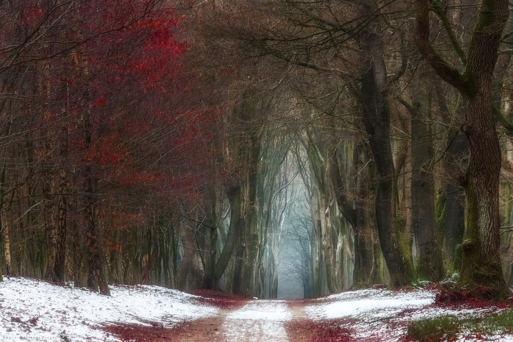 Canon EF 50-200mm f/3.5-4.5 sample photo. Red... photography
