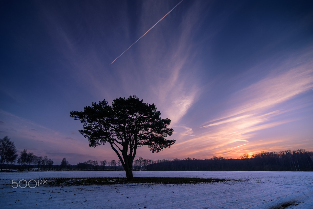 Tokina AT-X Pro 12-24mm F4 (IF) DX sample photo. Blues photography