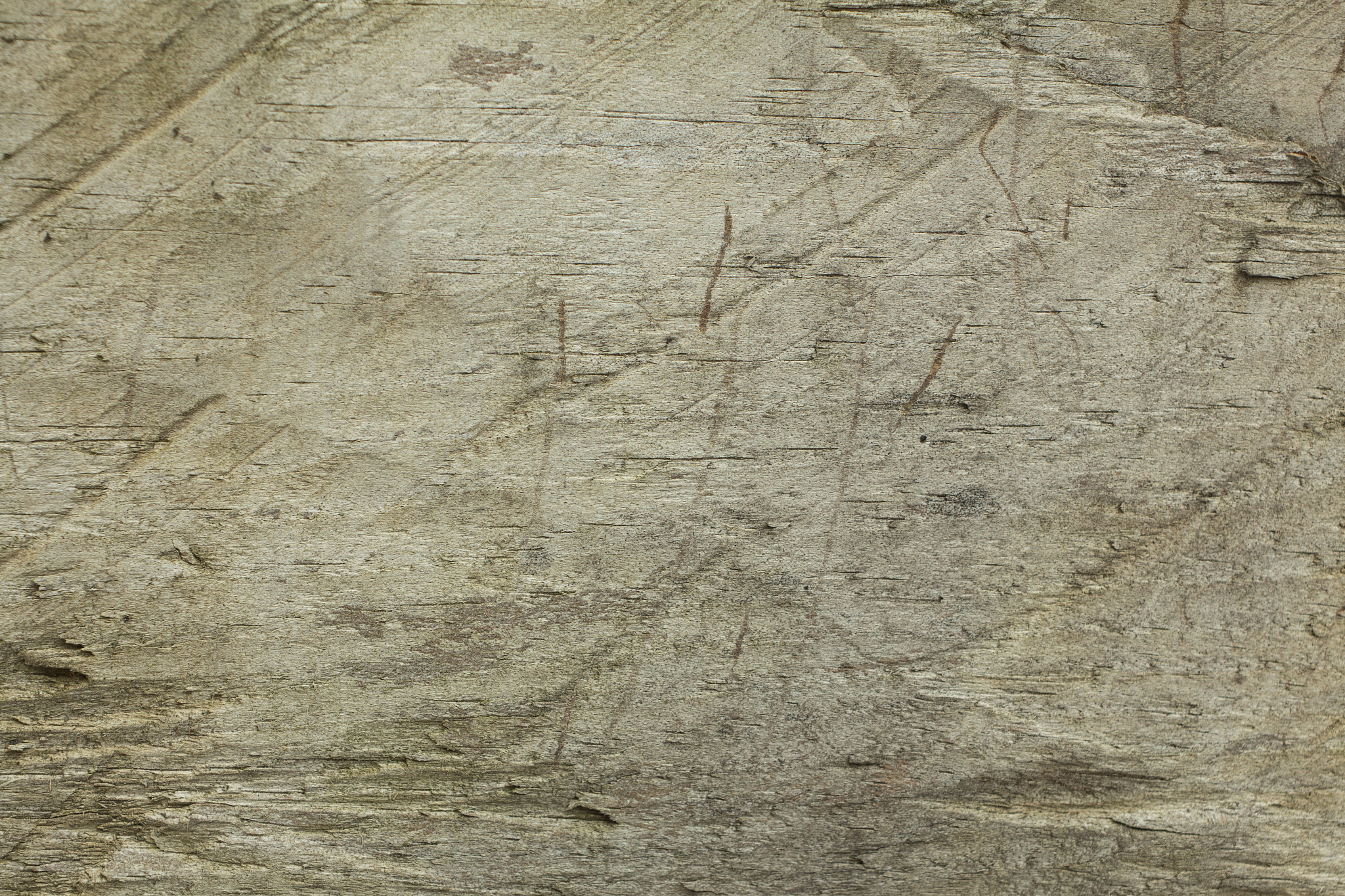 Canon EF 35-80mm f/4-5.6 sample photo. Texture photography