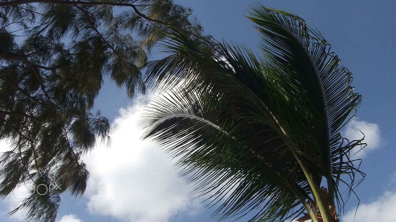 Fujifilm FinePix Real 3D W3 sample photo. Mauritius photography