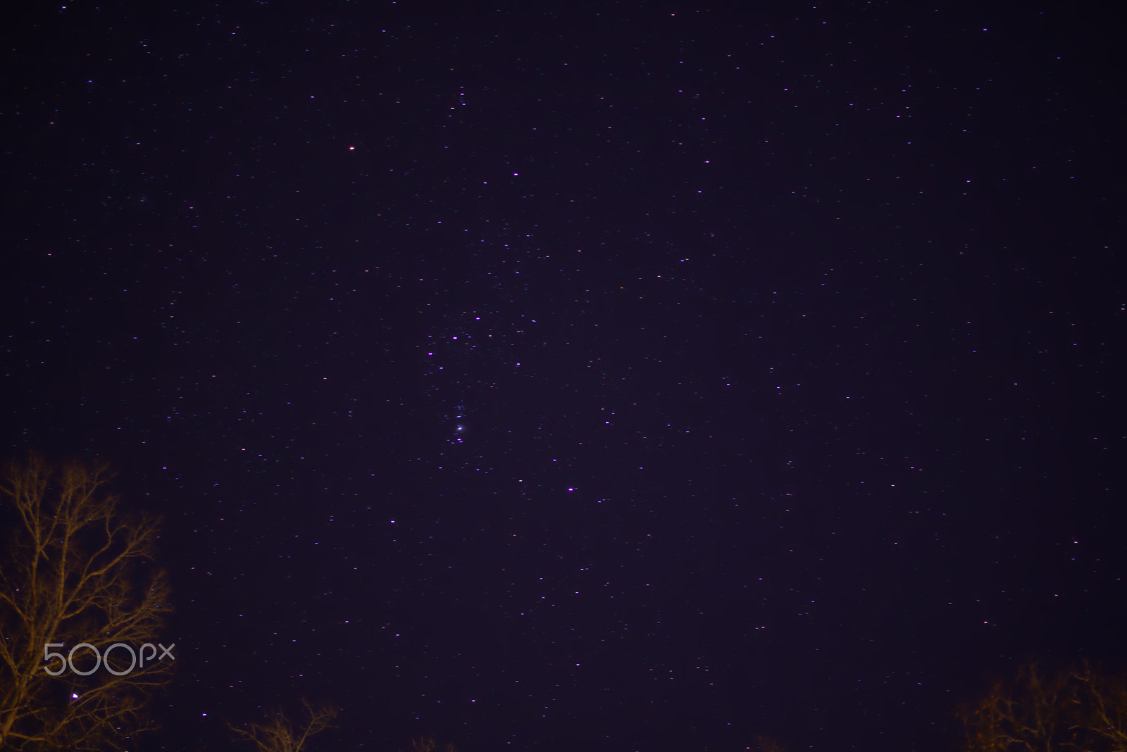 Canon EOS 750D (EOS Rebel T6i / EOS Kiss X8i) + Canon EF-S 24mm F2.8 STM sample photo. Nightime in tennessee photography