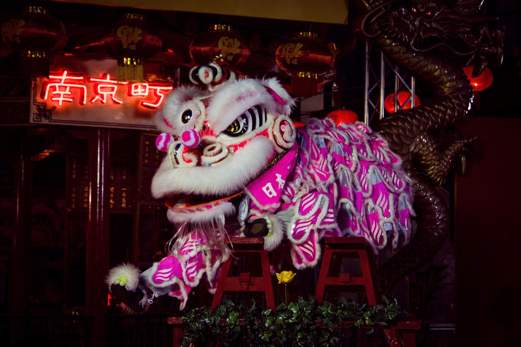 Sony E 18-200mm F3.5-6.3 OSS sample photo. Lion`s rest photography