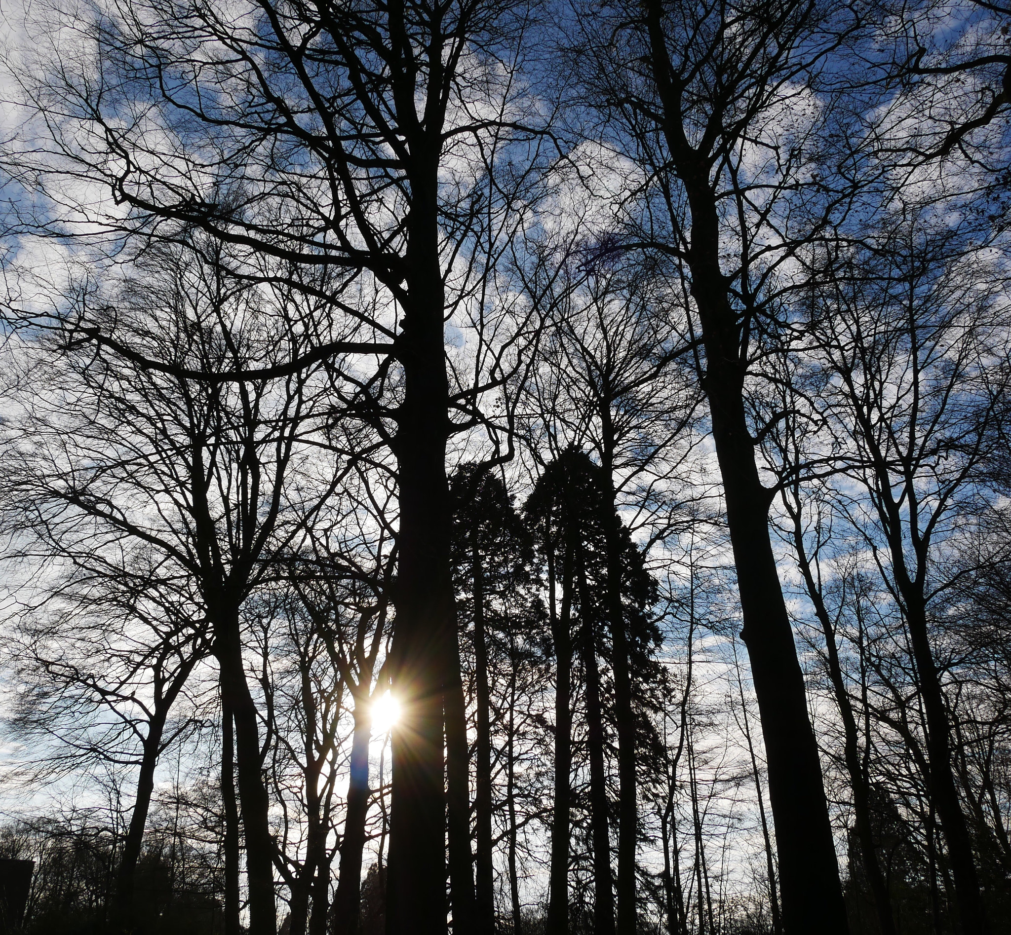 Panasonic Lumix DMC-GX85 (Lumix DMC-GX80 / Lumix DMC-GX7 Mark II) sample photo