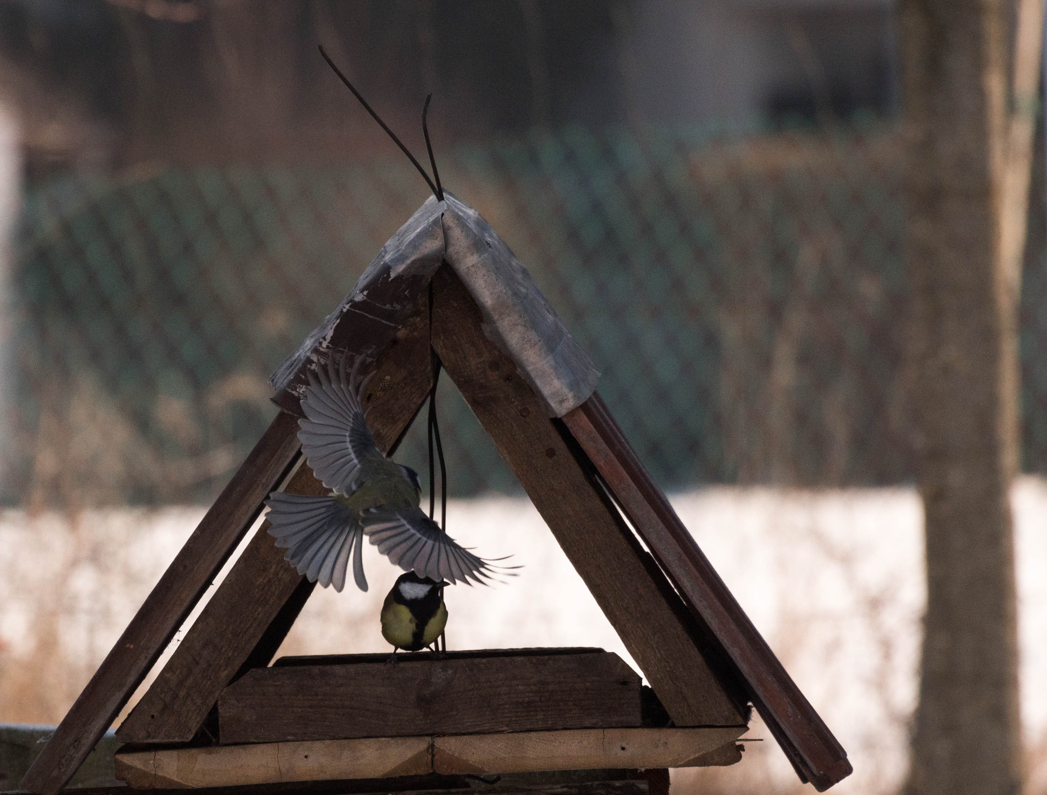 Nikon D5500 sample photo. I'm comiiing !!! photography