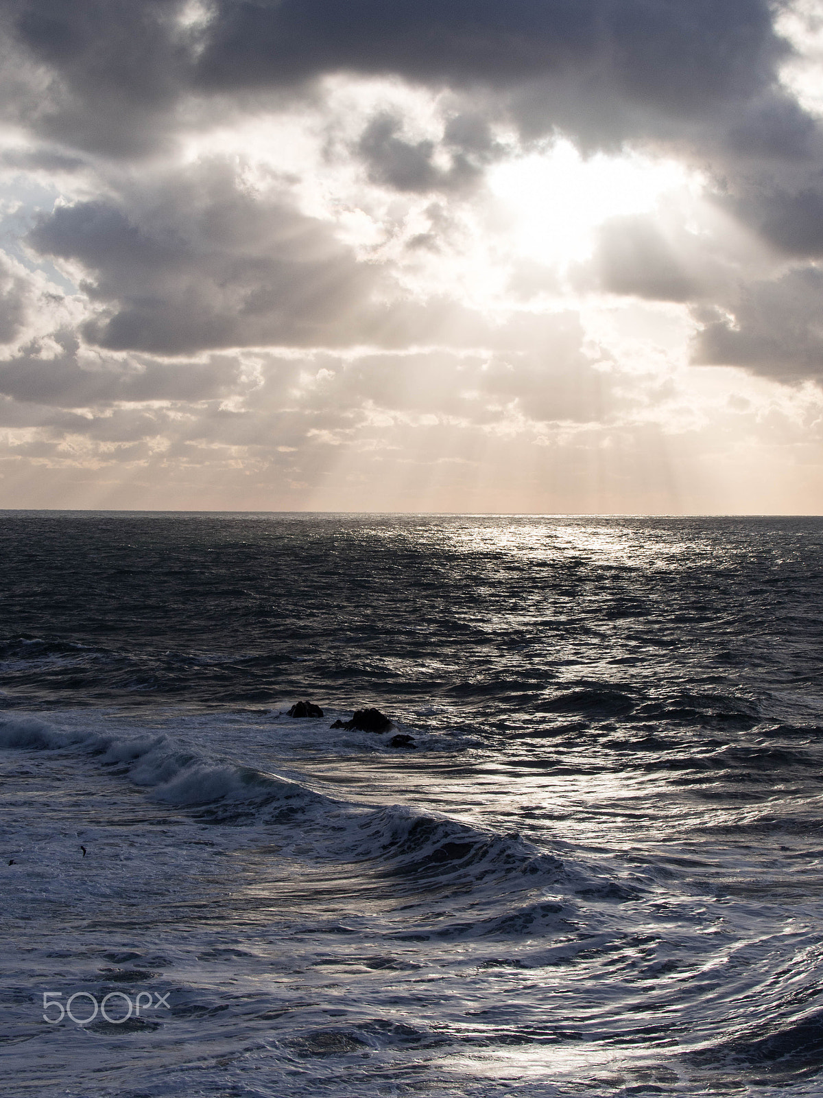 Panasonic Lumix G X Vario 35-100mm F2.8 OIS sample photo. Sunlight photography