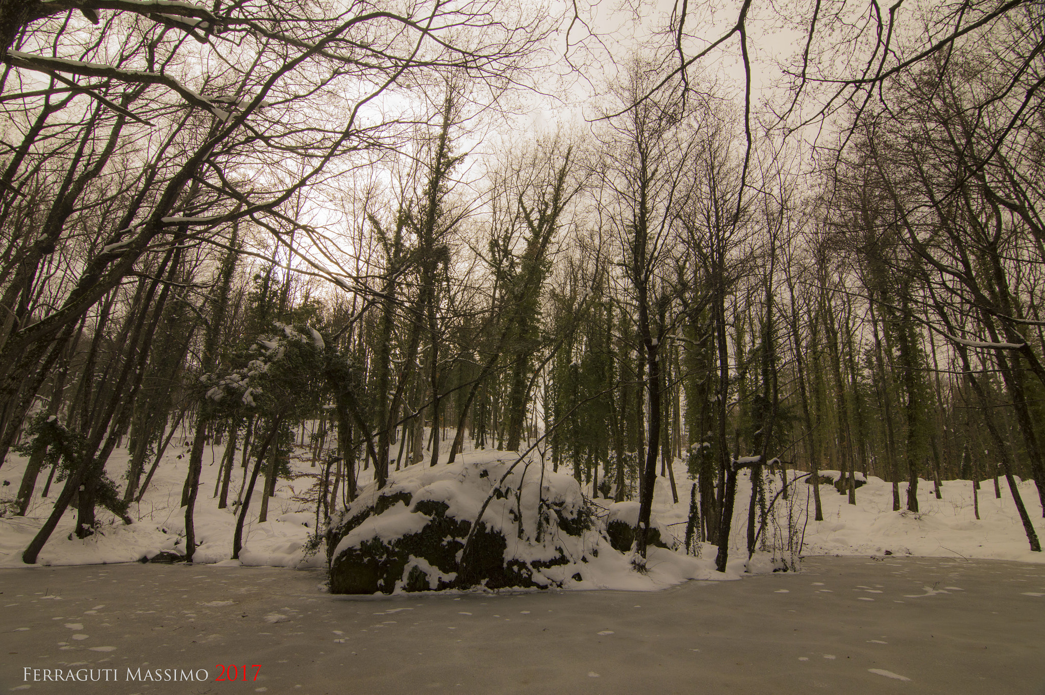 Nikon D3200 sample photo. ...un laghetto nel bosco... photography