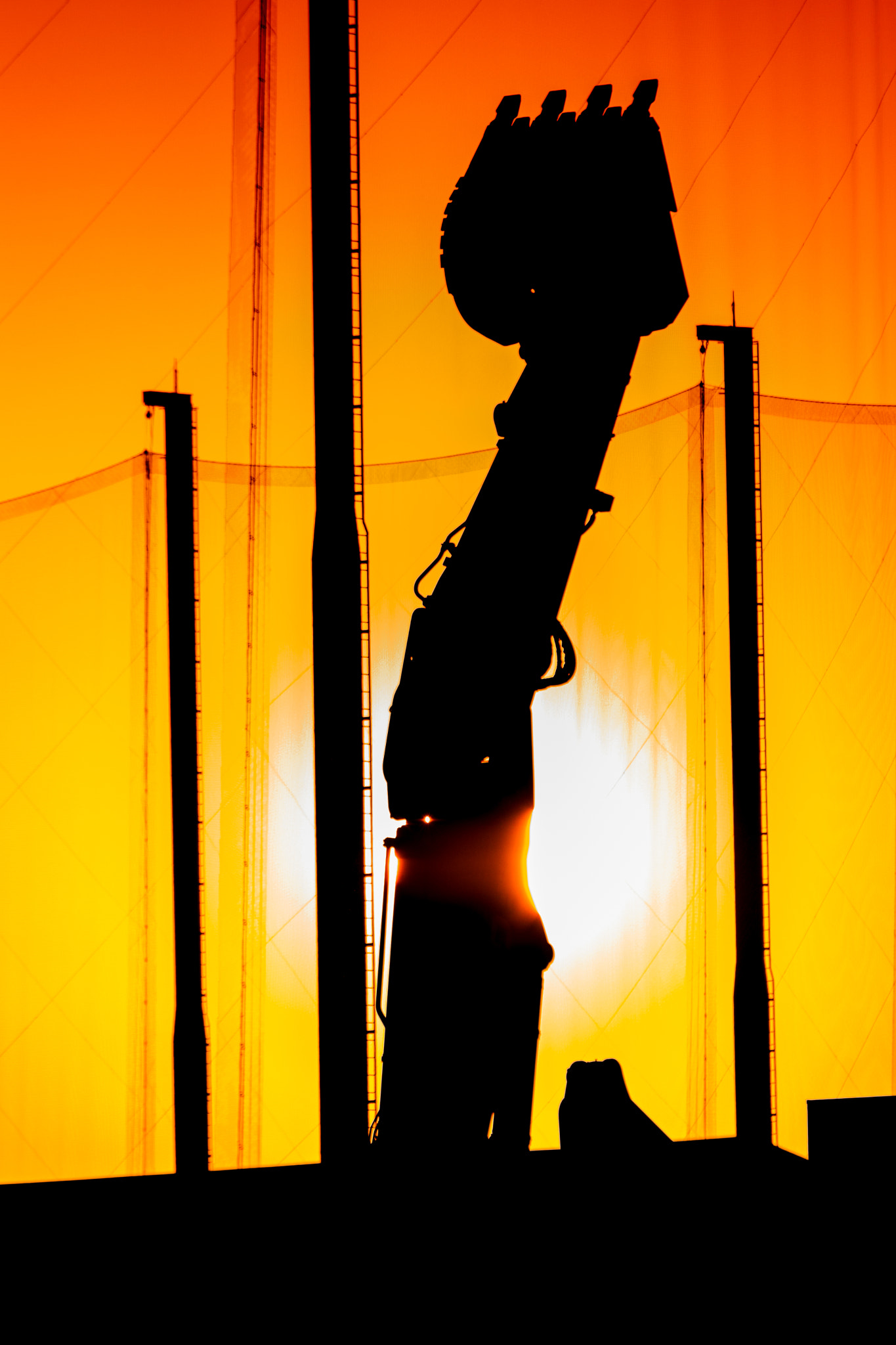 Nikon D500 sample photo. Arm photography