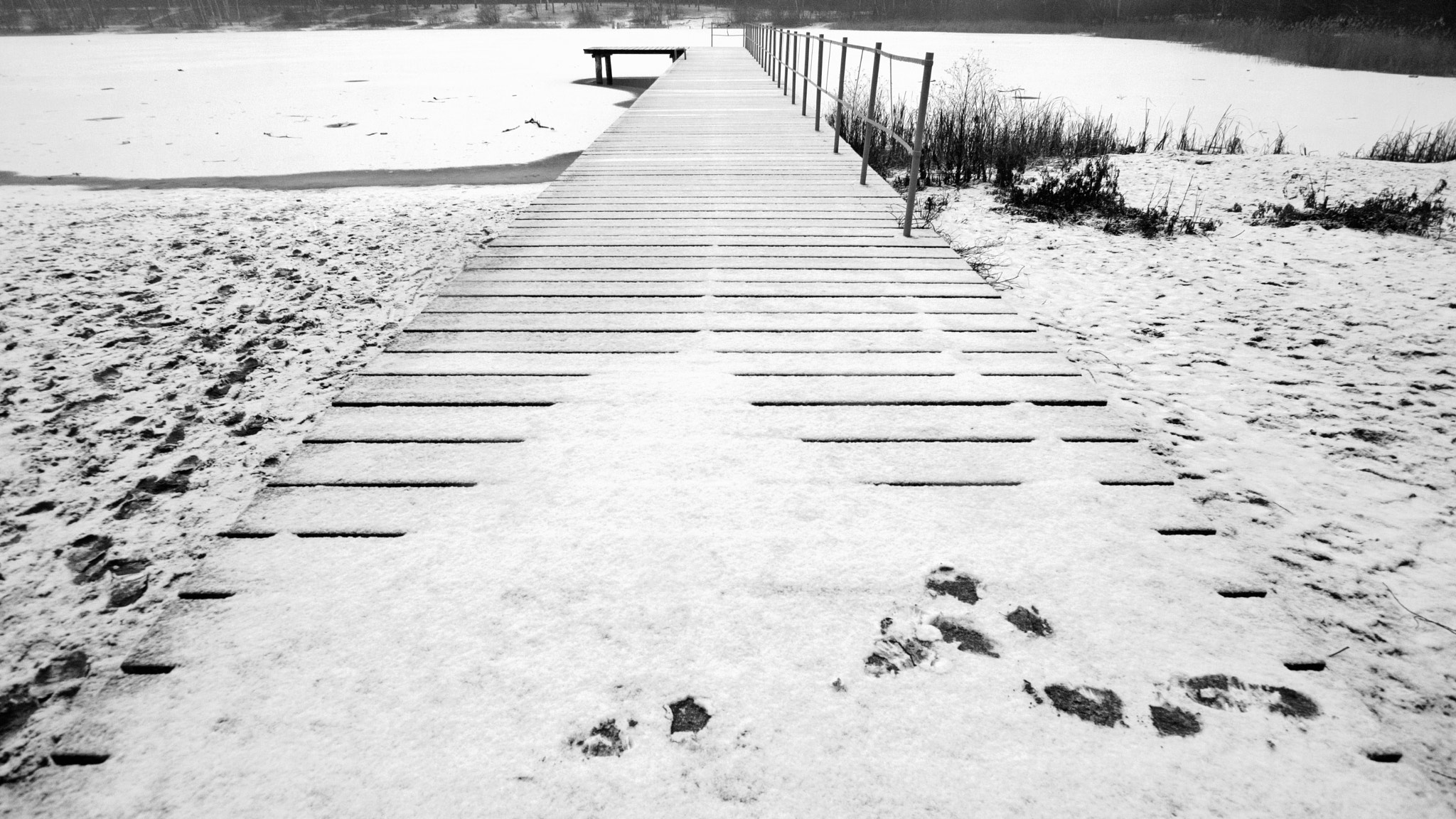 Sony SLT-A65 (SLT-A65V) + Sigma 10-20mm F3.5 EX DC HSM sample photo. White&black photography