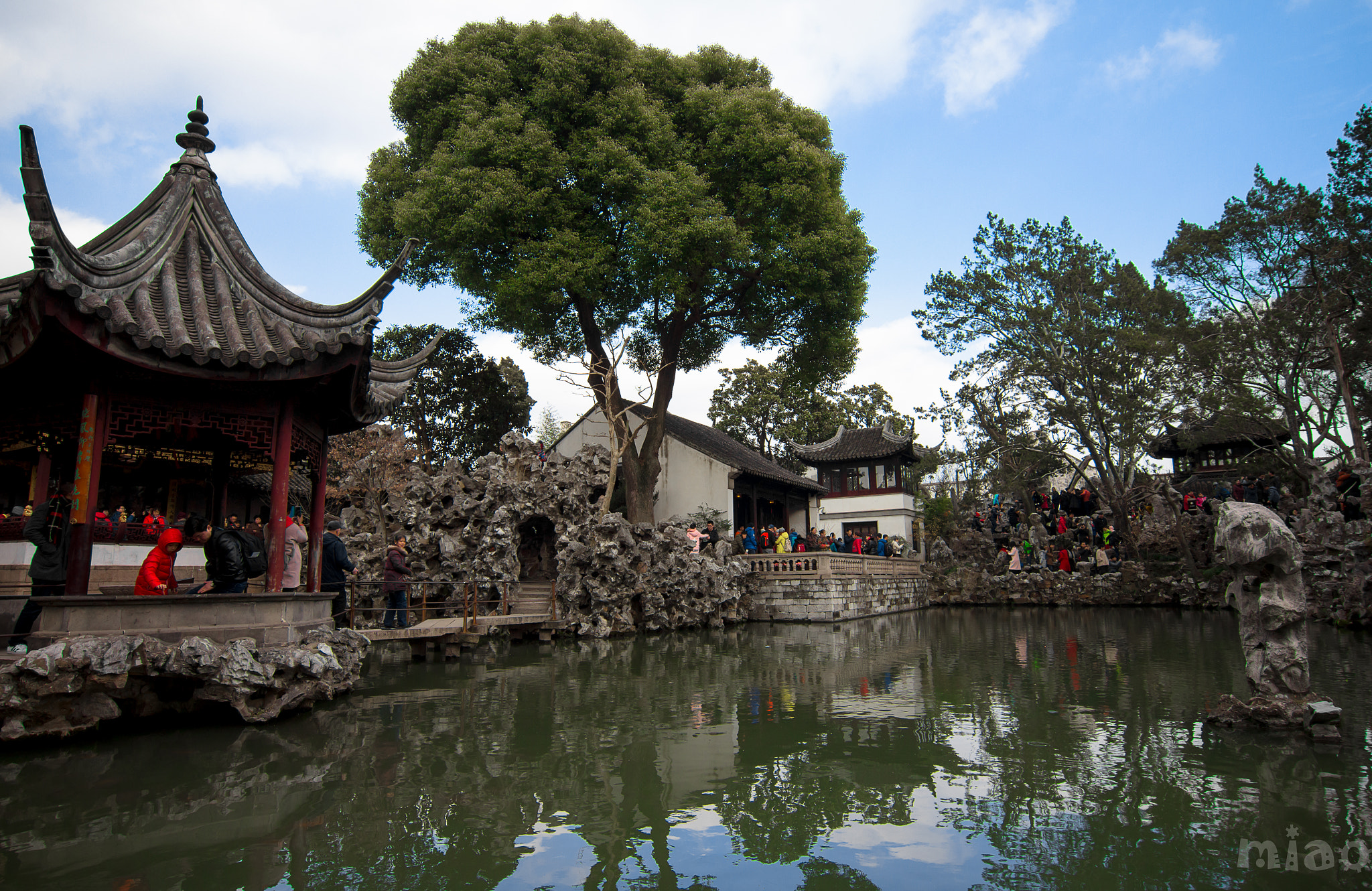 Tokina AT-X 12-28mm F4 Pro DX sample photo. Lion forest garden photography