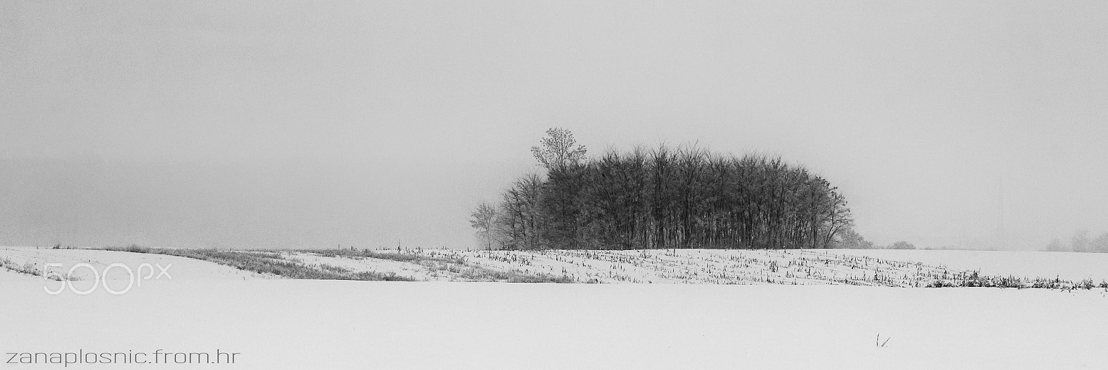 Canon EOS 600D (Rebel EOS T3i / EOS Kiss X5) sample photo. Winter panorama photography