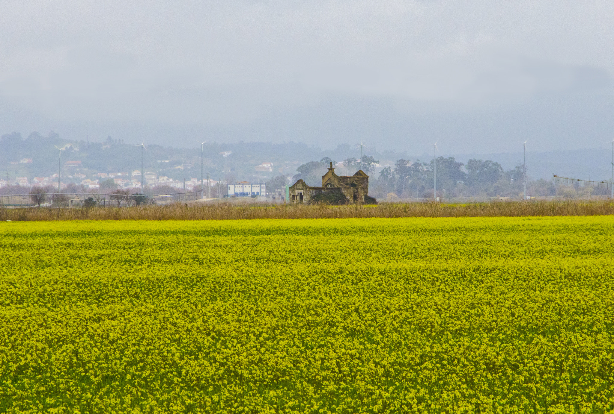 Nikon D5100 + Sigma 18-250mm F3.5-6.3 DC OS HSM sample photo. Church ruins under a dark sky... photography