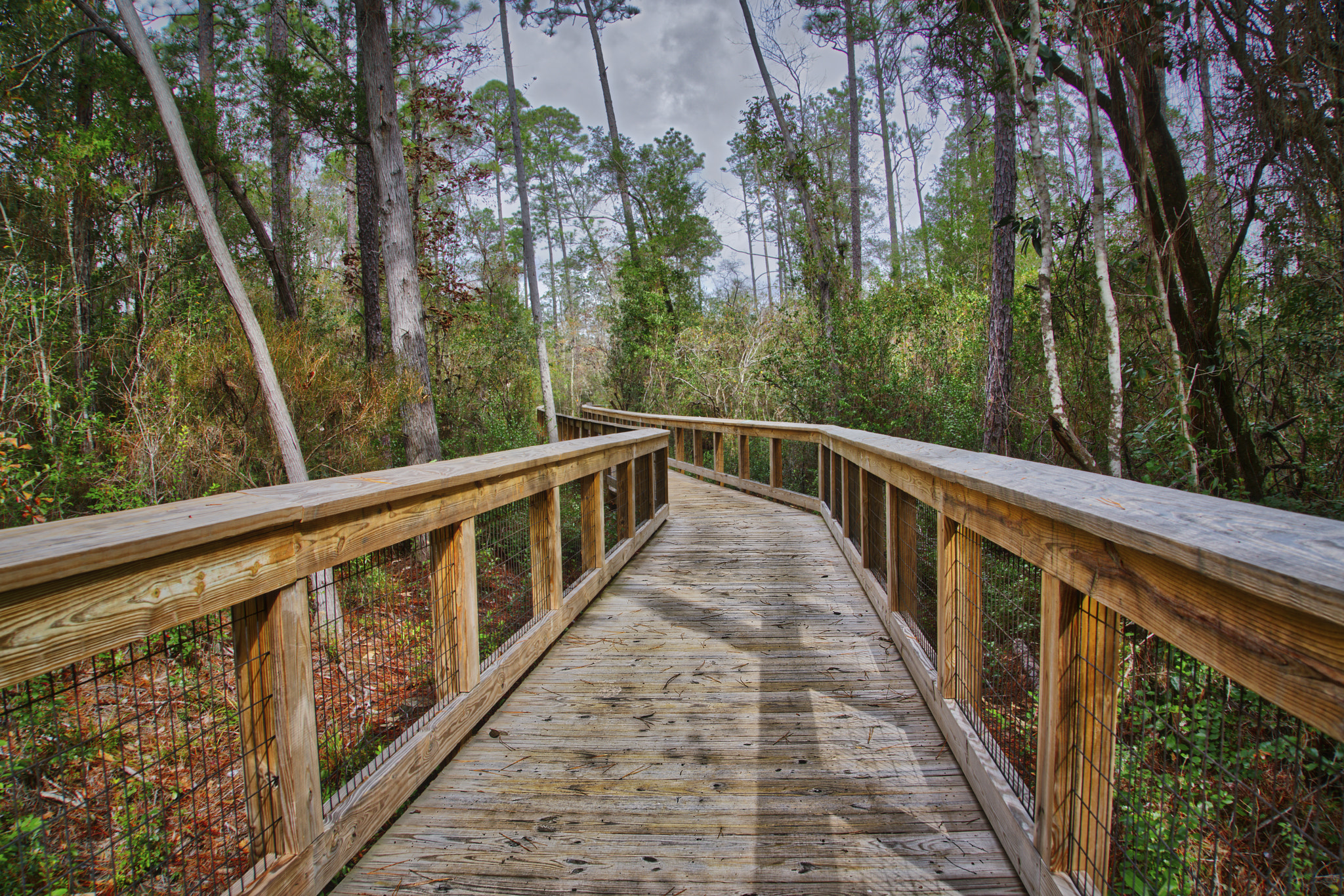 Sony FE 24-240mm F3.5-6.3 OSS sample photo. A view down the boardwalk photography