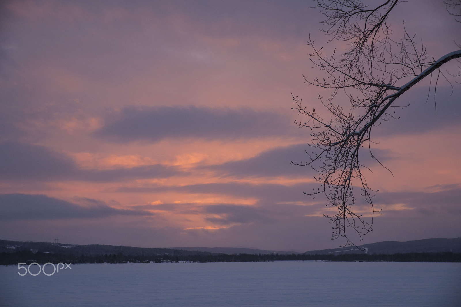 Sigma 17-70mm F2.8-4.5 (D) sample photo. Pink dawn photography