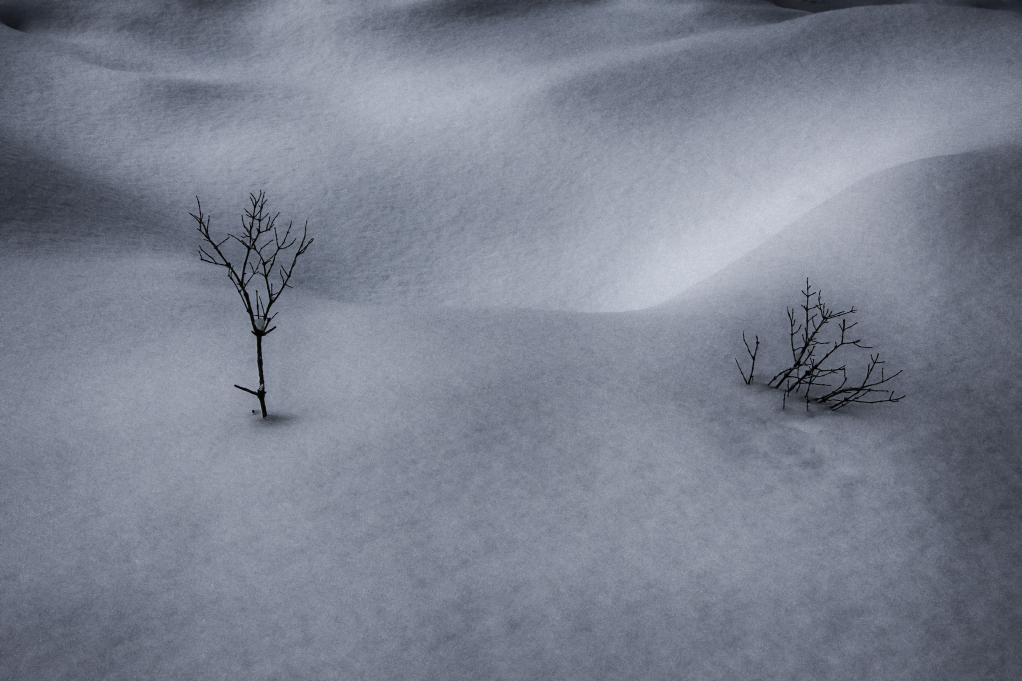 Sigma 18-250mm F3.5-6.3 DC Macro OS HSM sample photo. Mini dunes photography