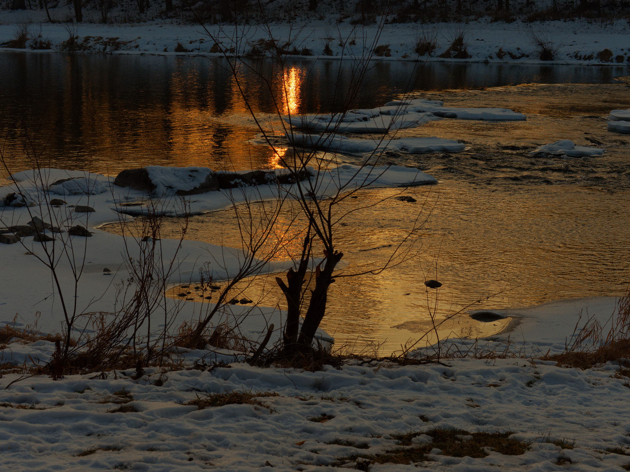 Olympus M.Zuiko Digital ED 12-40mm F2.8 Pro sample photo. Golden isar photography