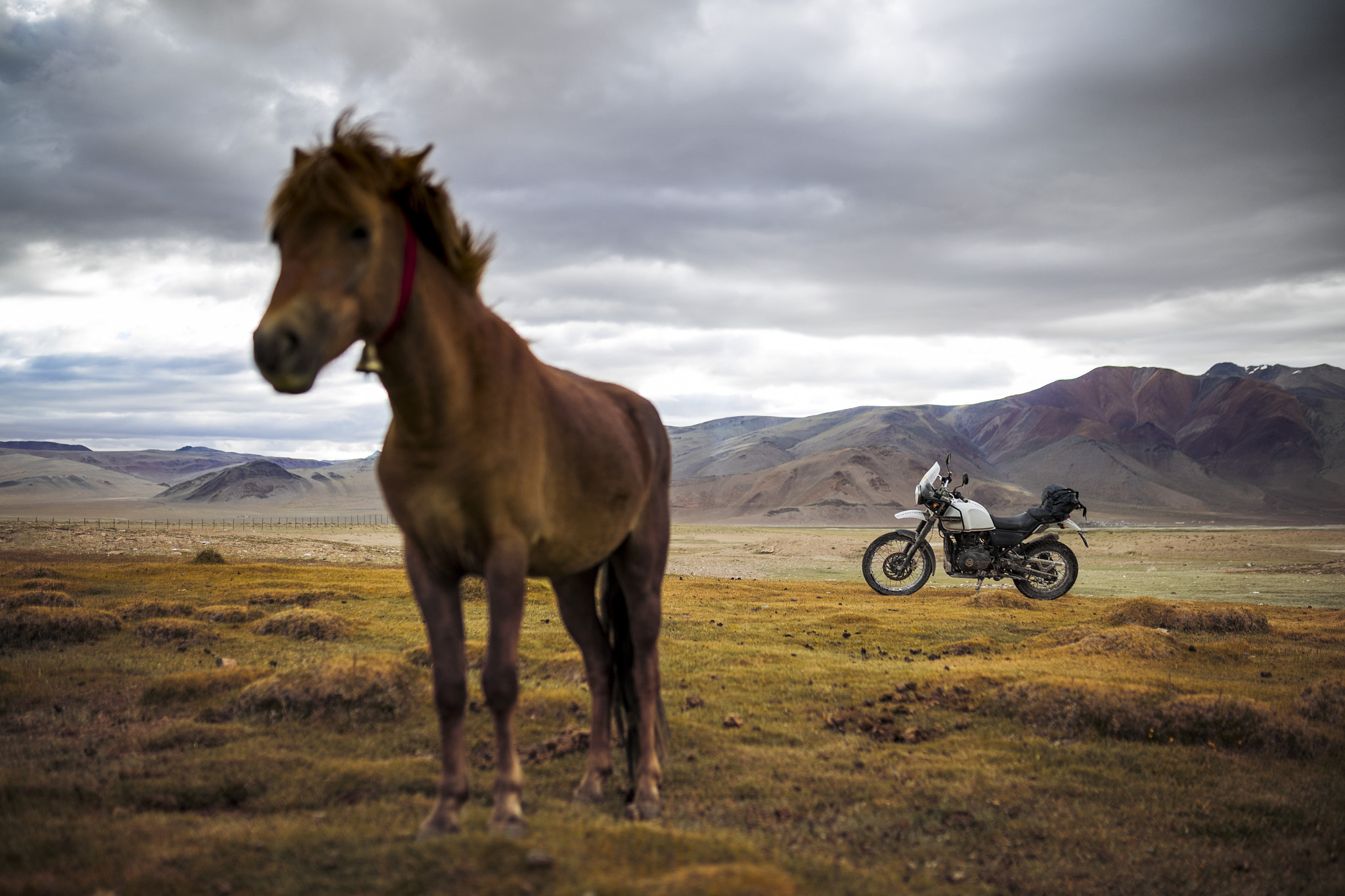 Sigma 35mm F1.4 DG HSM Art sample photo. Horsepower photography