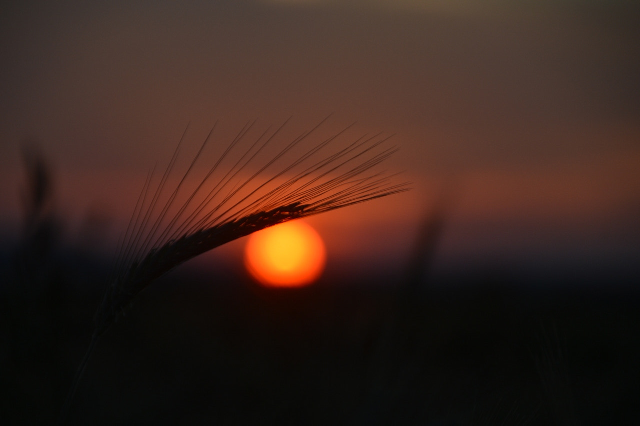 Nikon D3200 sample photo. Sunset eye photography