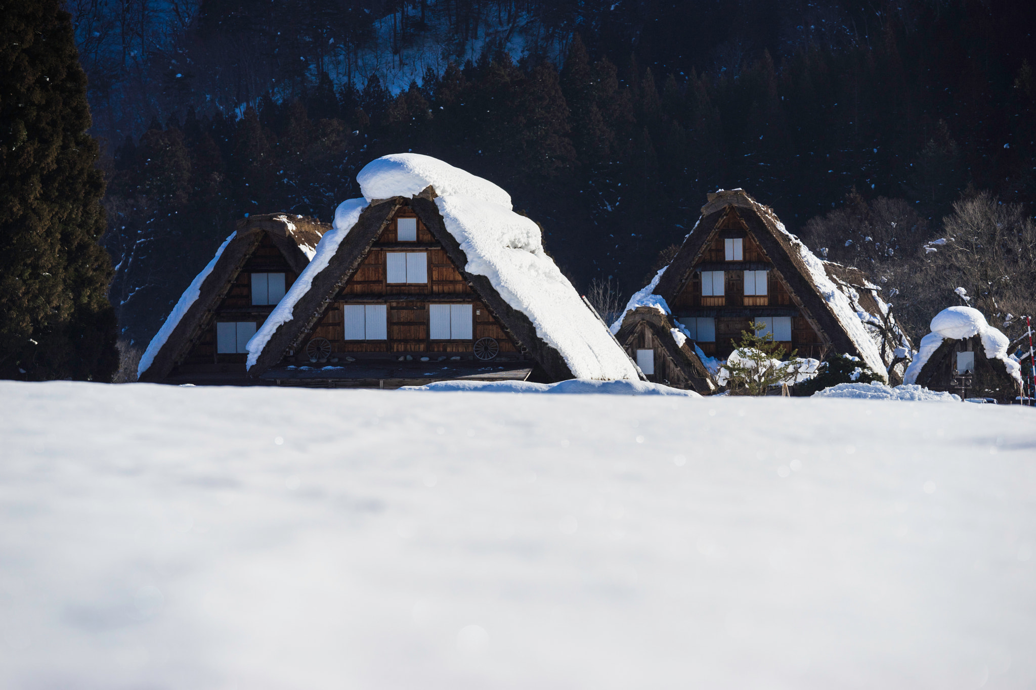 Sony FE 70-200mm F2.8 GM OSS sample photo. Japanese architecture photography