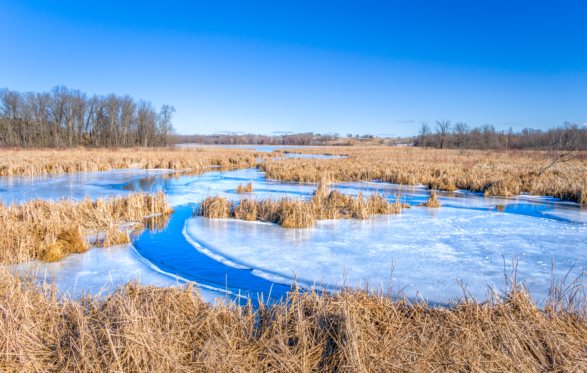 Sony a6300 + Sigma 19mm F2.8 EX DN sample photo. Winter view of wolf lake photography