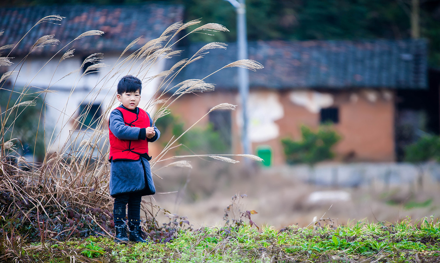 Sigma 70-200mm F2.8 EX DG OS HSM sample photo. Dsc photography