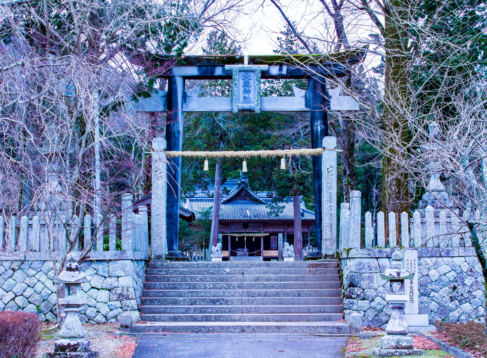 Canon EOS 1100D (EOS Rebel T3 / EOS Kiss X50) sample photo. 大歳神社 photography