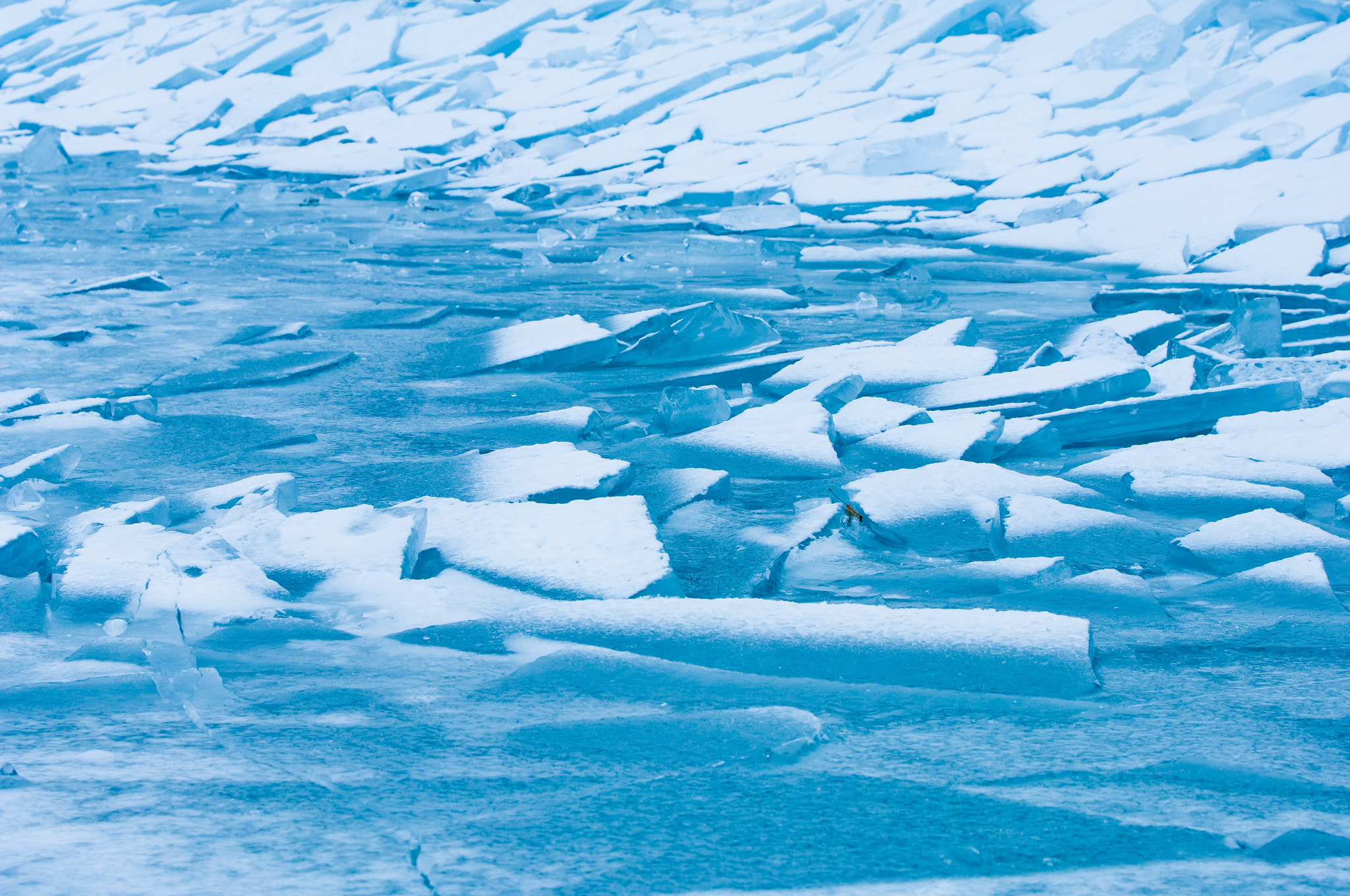 Nikon D2X sample photo. Winter scene with frozen ice-pack ice float and other formations photography