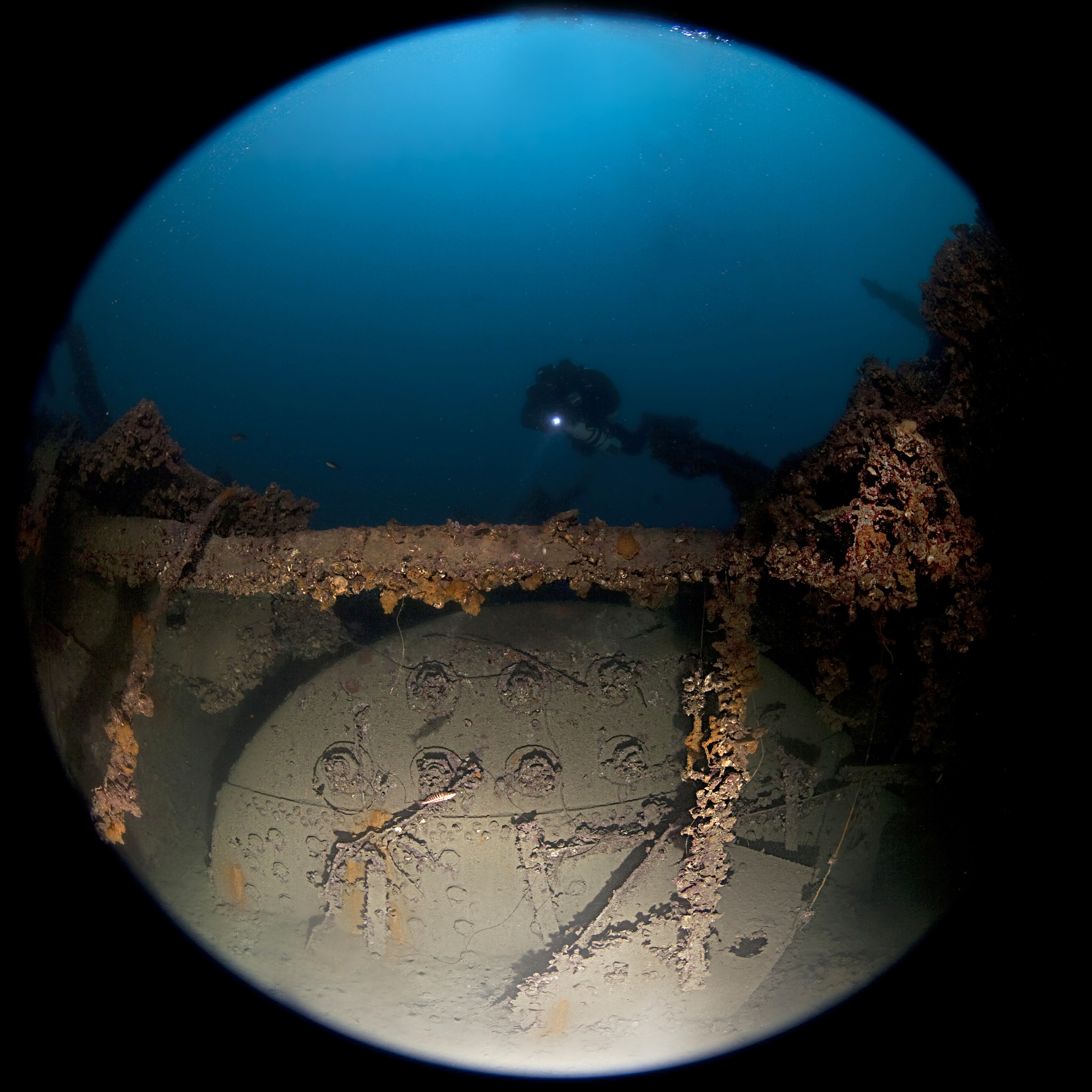 Canon EF 8-15mm F4L Fisheye USM sample photo. Nestos photography