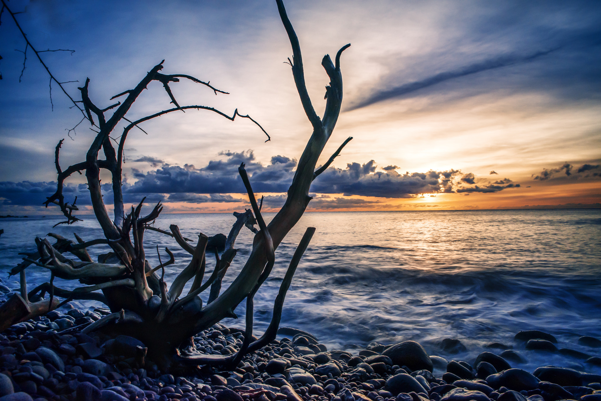 Sigma 24-70mm F2.8 EX DG HSM sample photo. Wild art photography