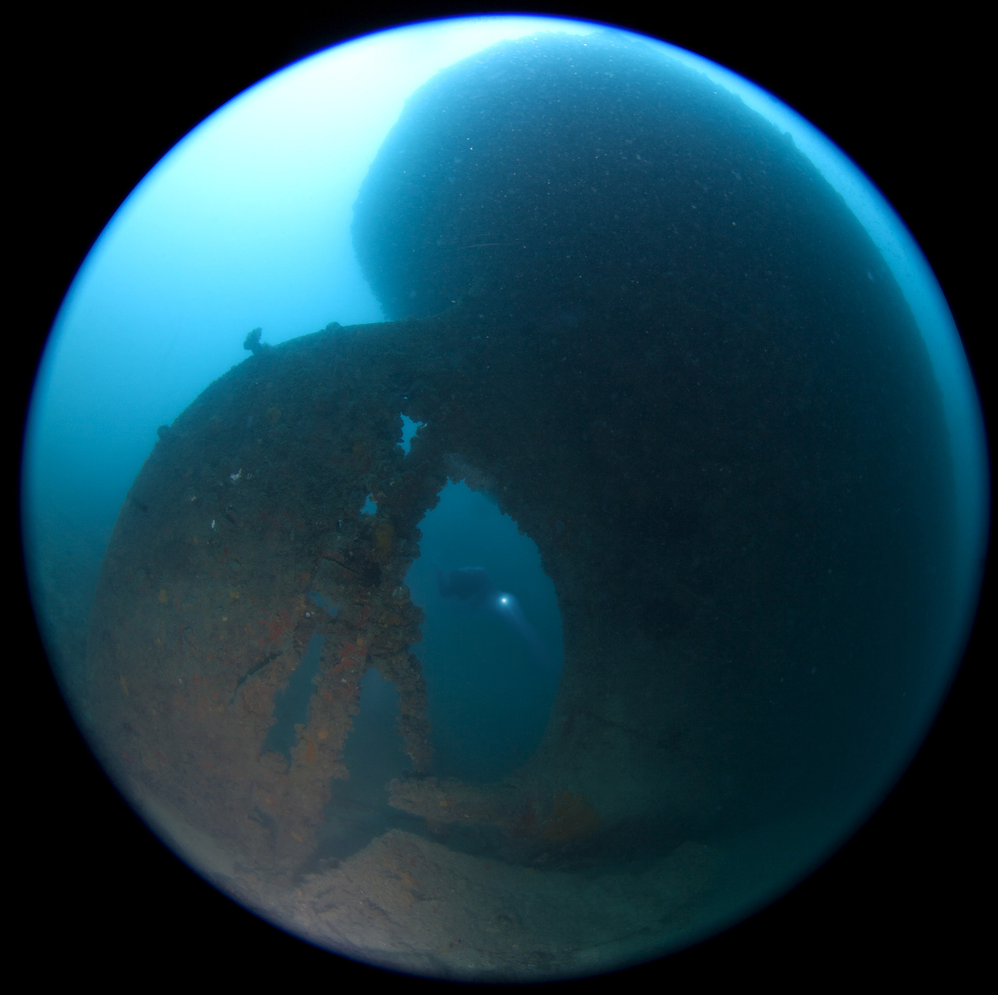 Canon EF 8-15mm F4L Fisheye USM sample photo. Nestos photography