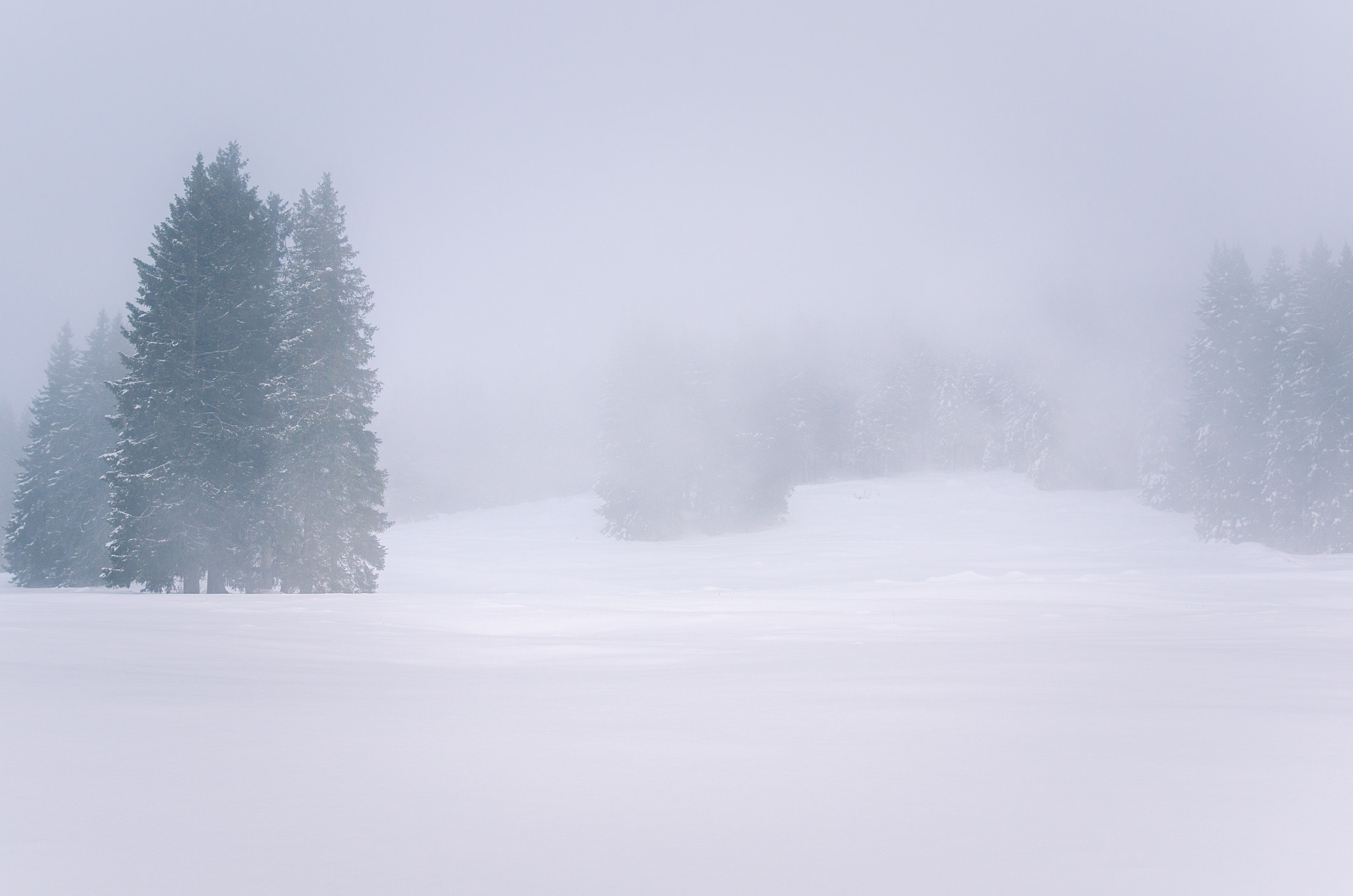 Nikon AF-S Nikkor 24-120mm F4G ED VR sample photo. Foggy winter landscape photography