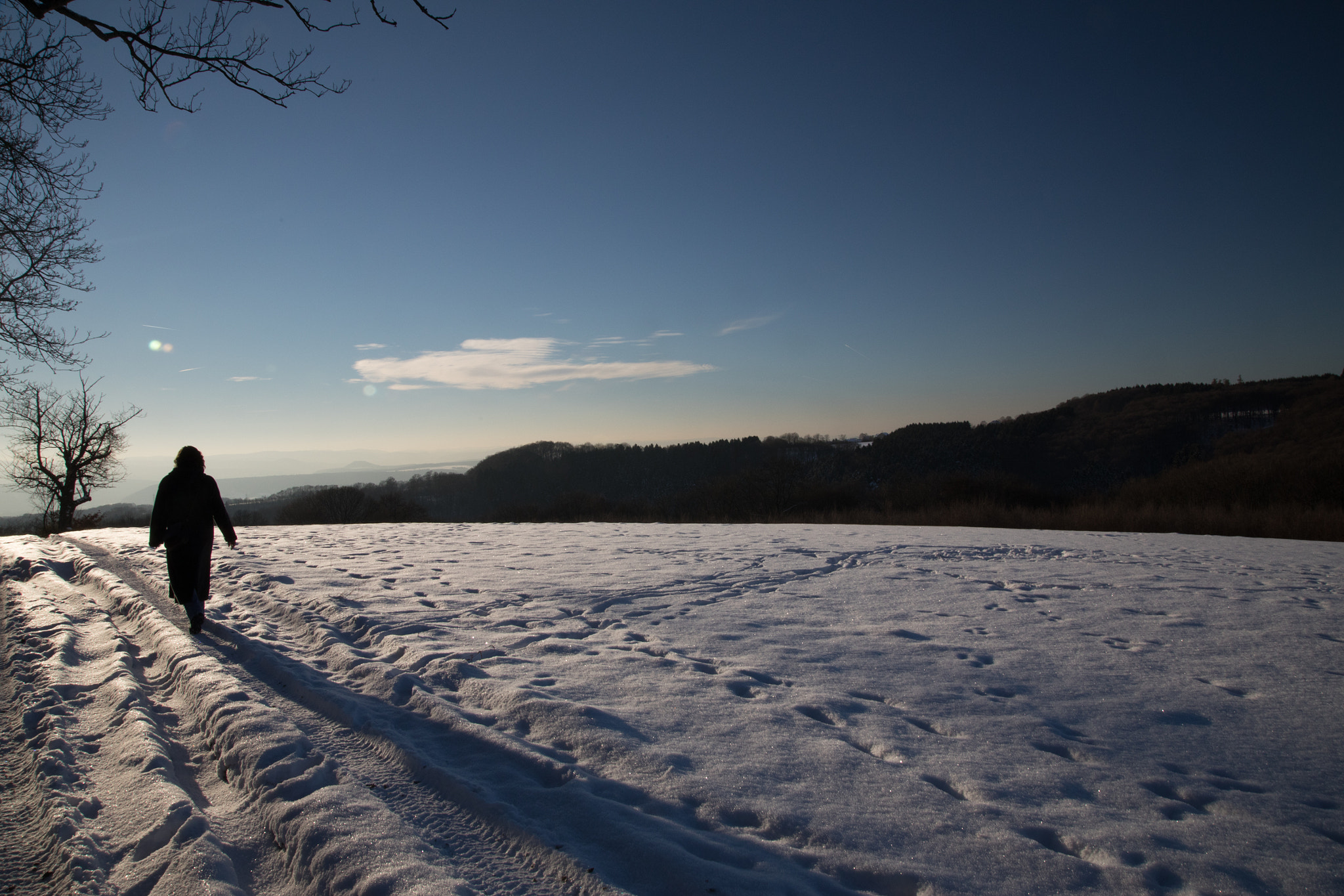 Sigma 24-105mm f/4 DG OS HSM | A sample photo. A walk in the snow photography