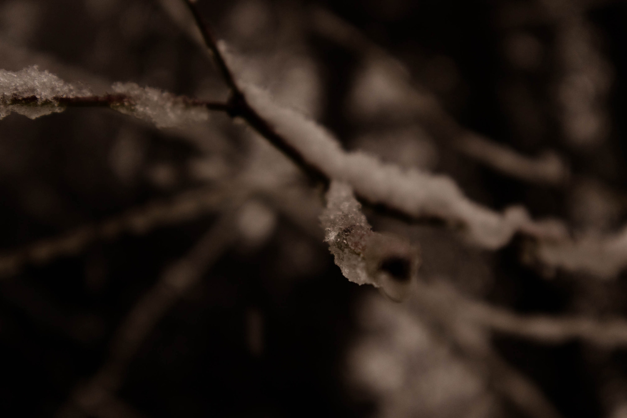 Canon EOS M3 sample photo. Melting beauty photography