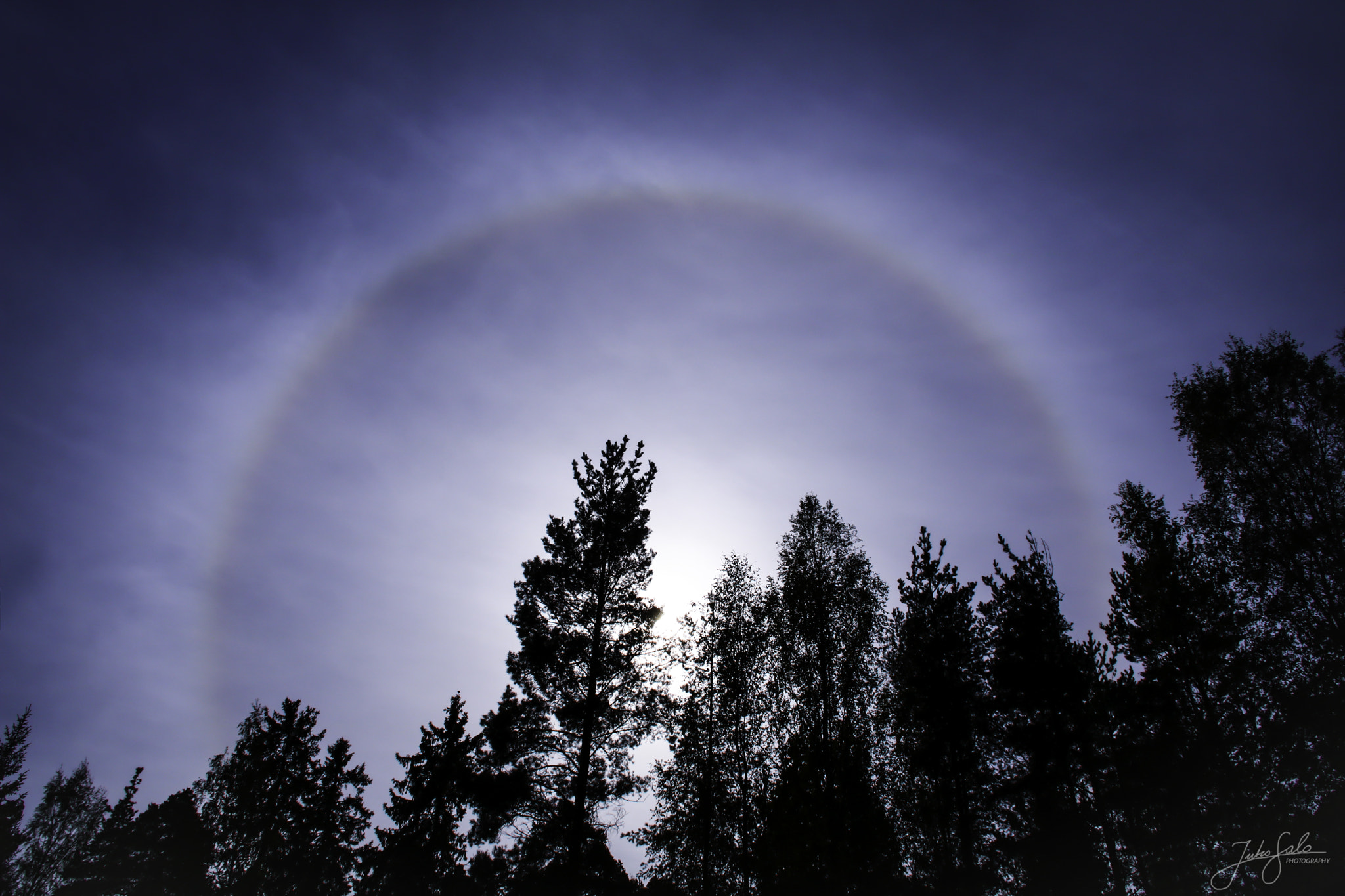Canon EF 75-300mm F4.0-5.6 IS USM sample photo. Halo photography