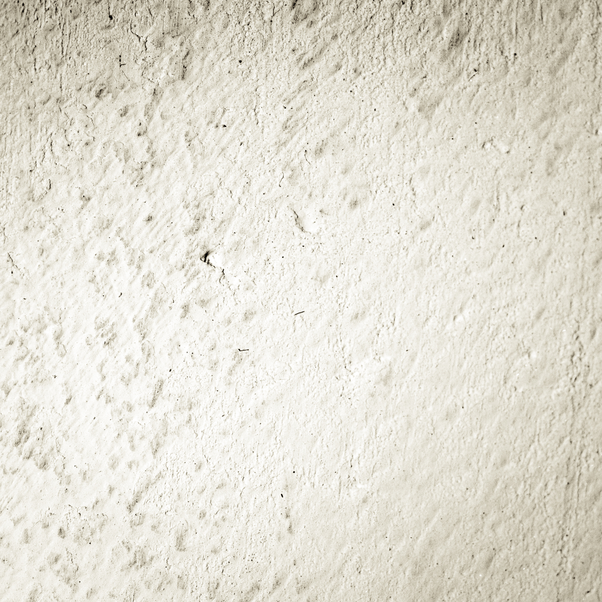 Sony a6000 + Sony FE 90mm F2.8 Macro G OSS sample photo. Meeting the wall... photography